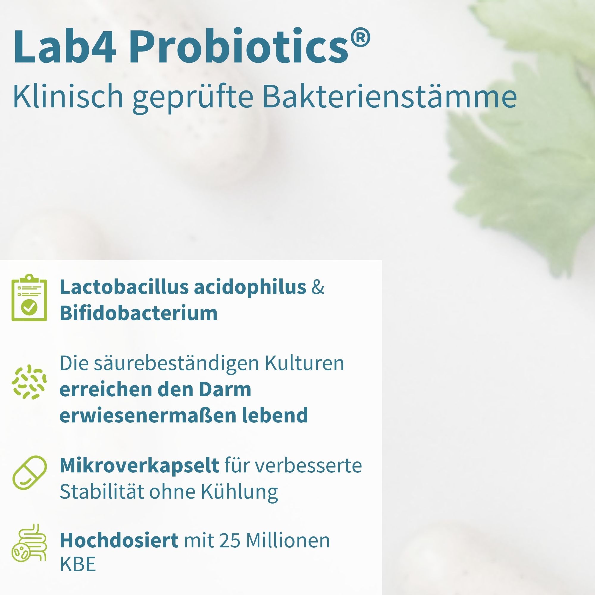 Lab4 Probiotika: Klinisch geprüfte Bakterienstämme für die Darmgesundheit.