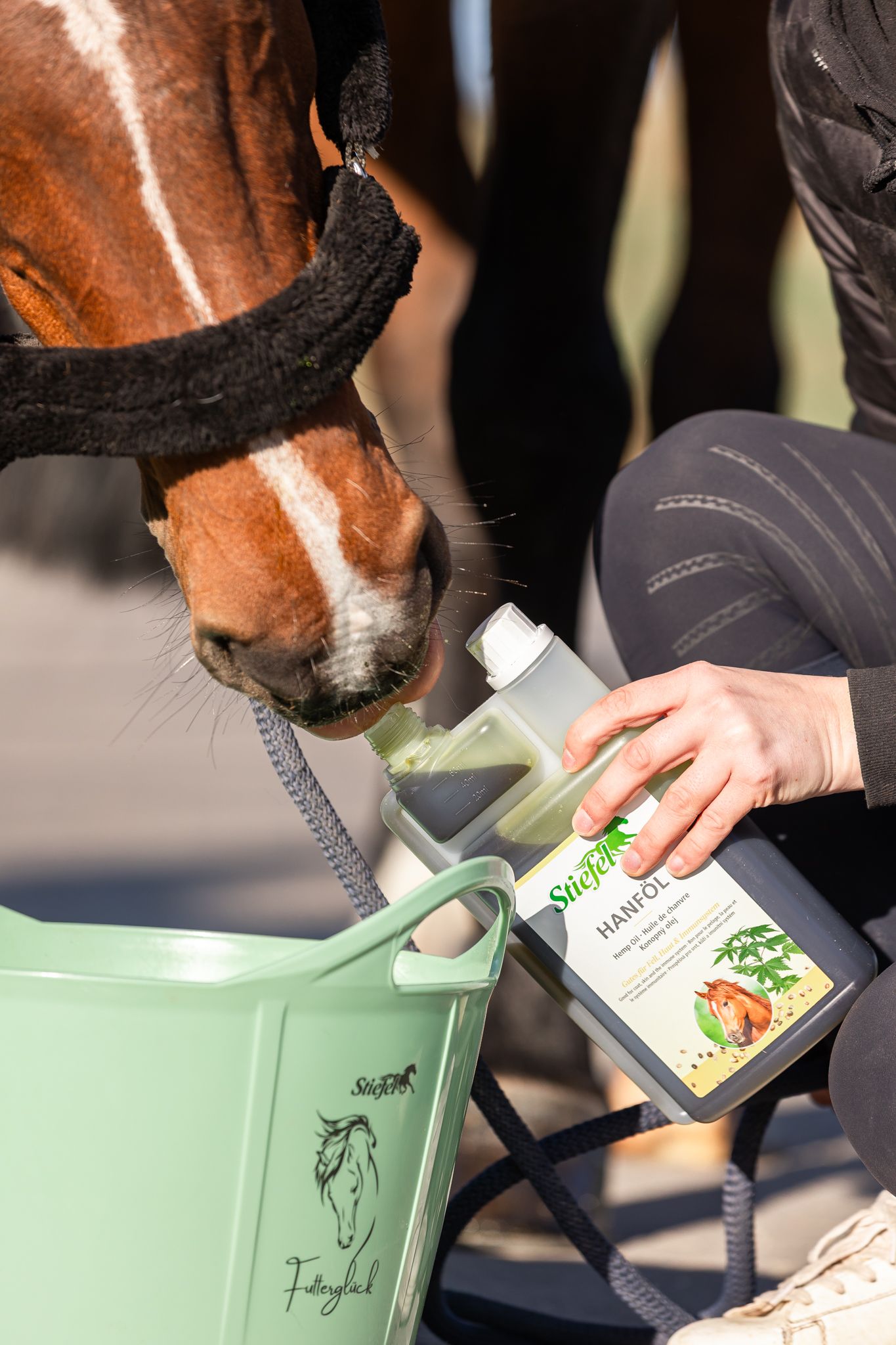 Pferd trinkt aus einer Flasche Stiefel Hanföl. Eine Person hält die Flasche und einen grünen Eimer mit Logo.
