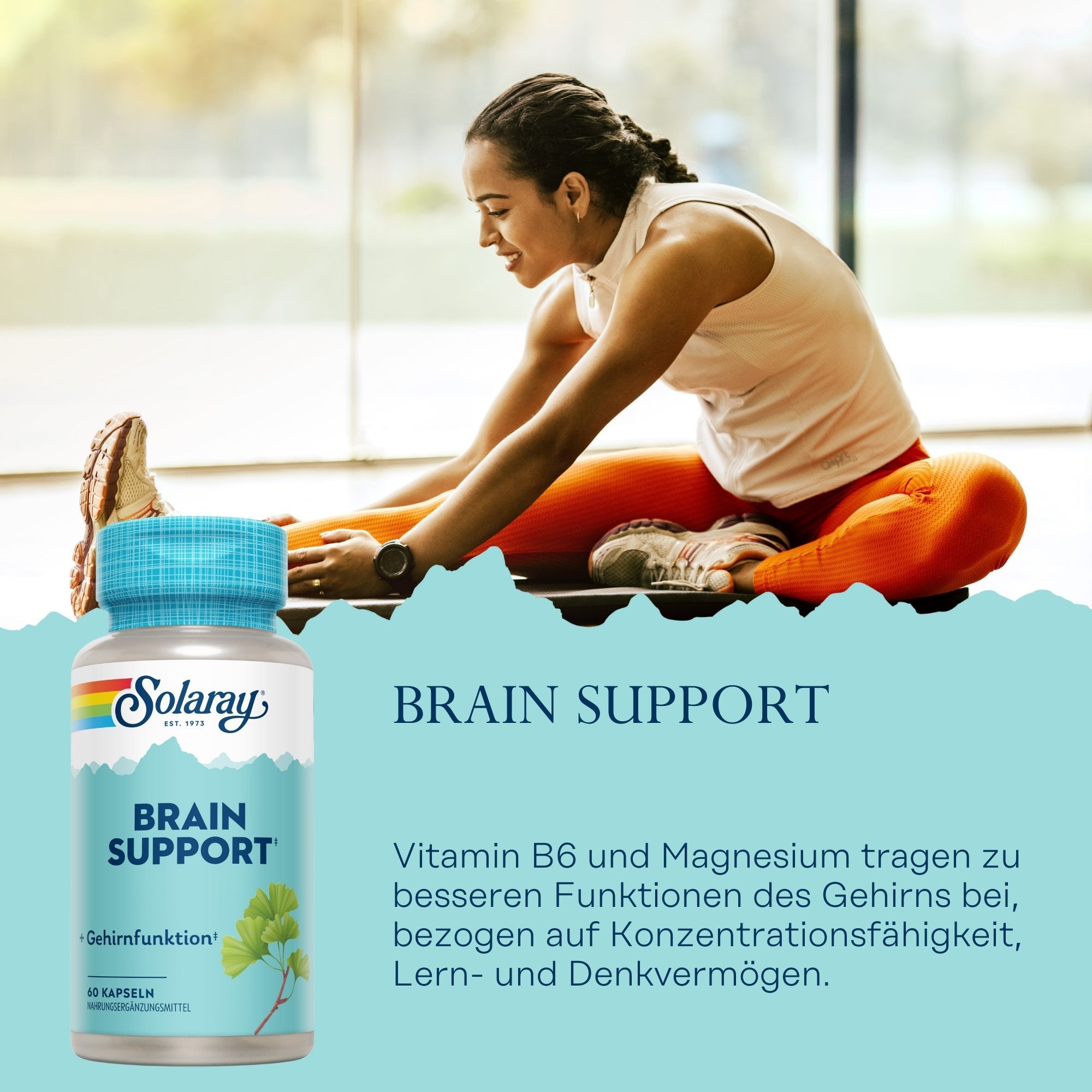 Solaray Brain Support