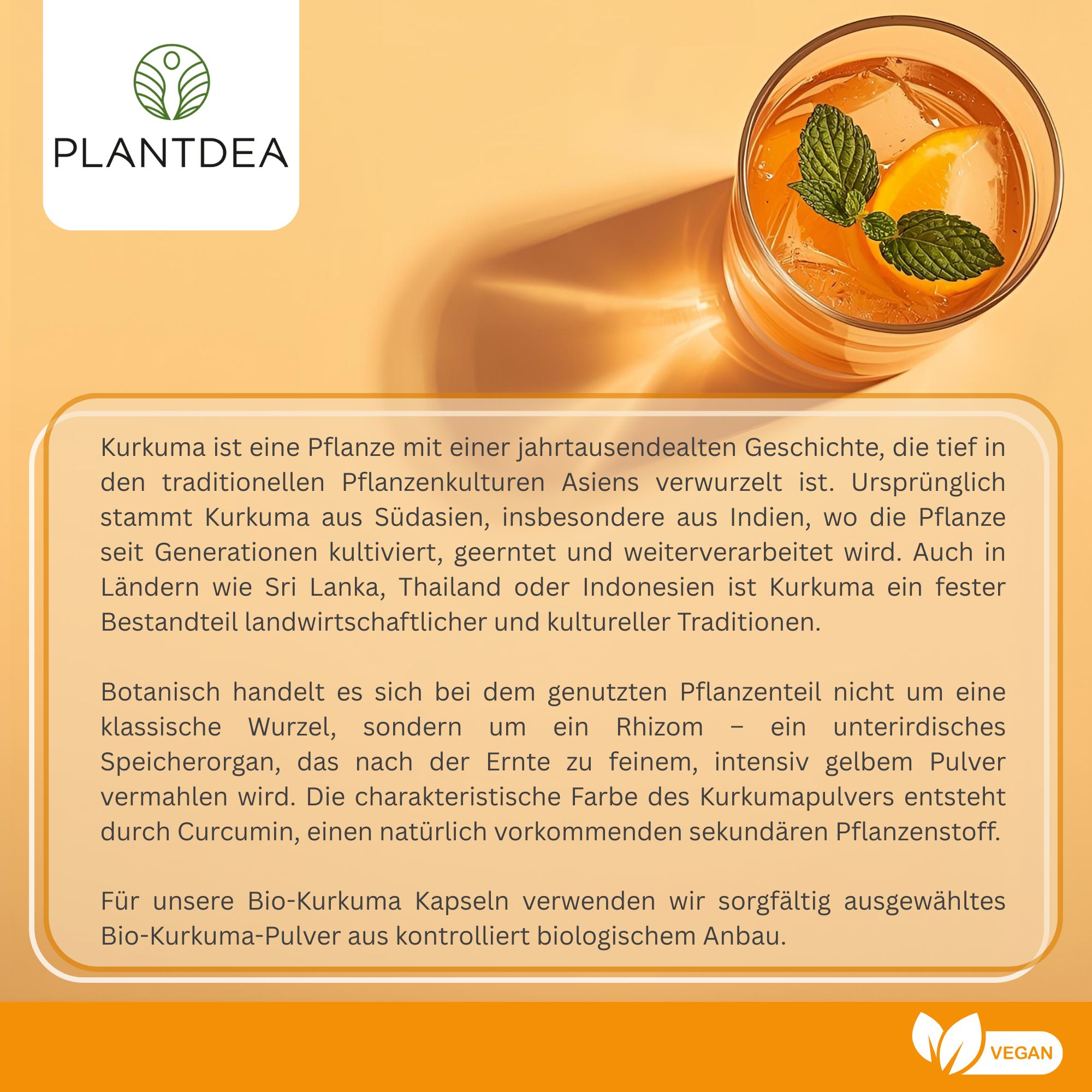 Text über Kurkuma. Beschreibt Herkunft, Verwendung und Eigenschaften. Vegan-Logo unten rechts.