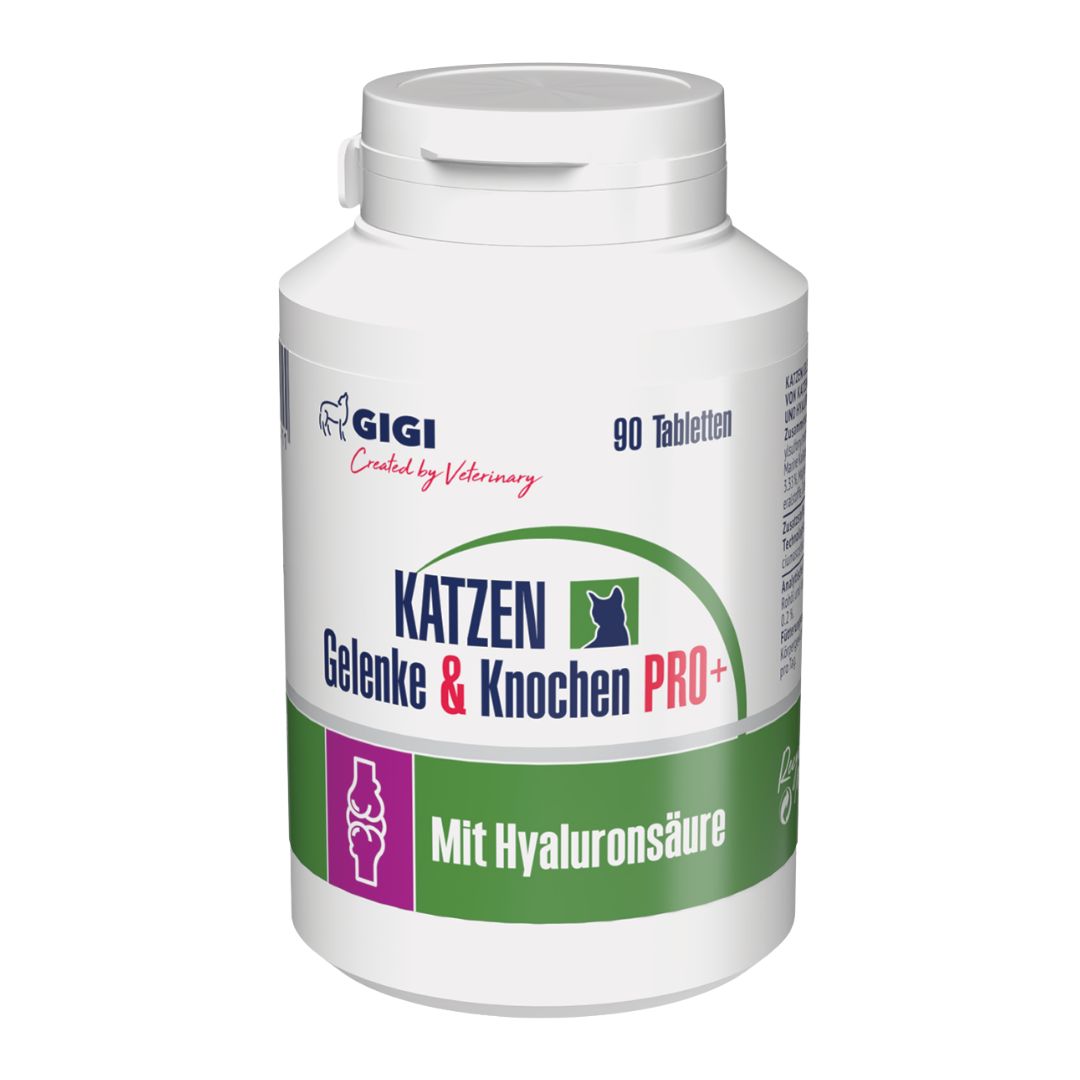 Gigi VET Katzen Gelenke & Knochen Pro+ Gelenktabletten mit Hyaluronsäure | Vitalität Kraft 90 St Tabletten
