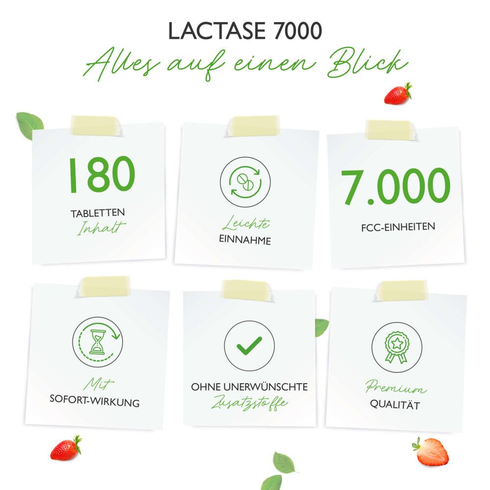 vit4ever Laktase 7000 180 St Tabletten