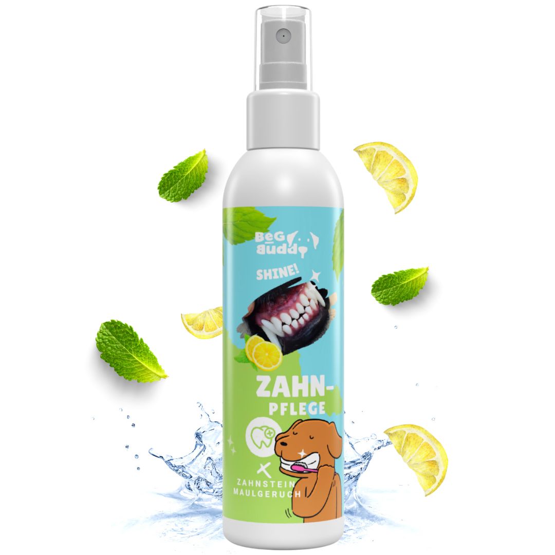 Zahnpflege-Spray für Hunde. Weiße Flasche mit Sprühkopf. Aufdruck mit Zähnen, Zitrone, Minze und Hund. Schriftzug: Zahn-Pflege.