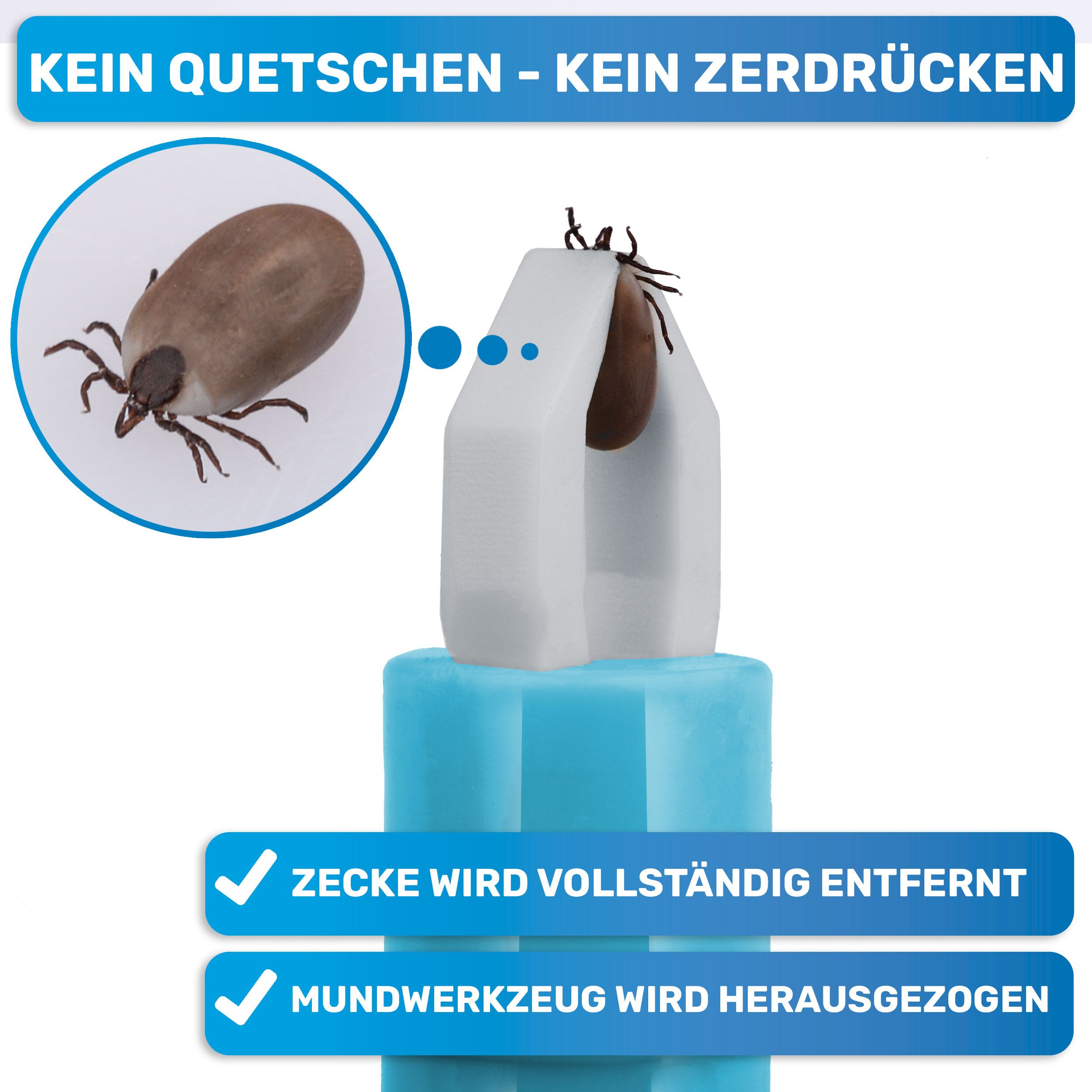 Zeckenpinzette, blau-weiß, mit Zecke. Text: Kein Quetschen - Kein Zerdrücken. Zecke wird vollständig entfernt. Mundwerkzeug wird herausgezogen.