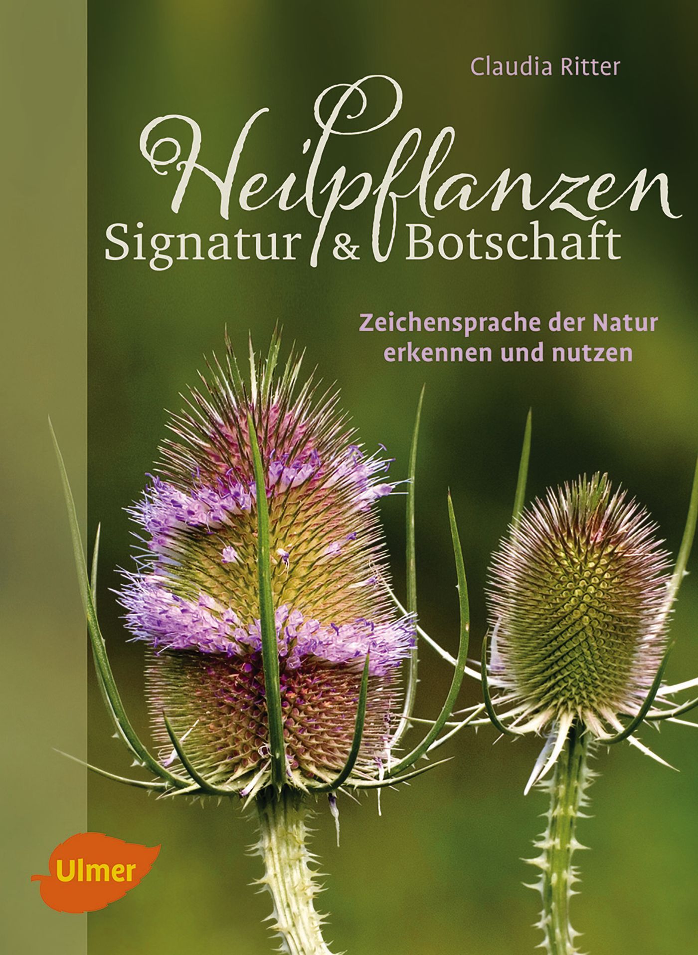 Buchcover: Heilpflanzen. Signatur & Botschaft. Autorin: Claudia Ritter. Titel in weißer Schrift. Hintergrund: grüne Pflanzen.