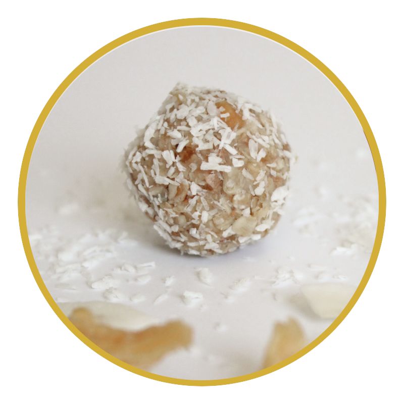 Kugel mit Kokosraspeln, umgeben von Kokosflocken. Auf weißem Untergrund, in einem goldenen Kreis.