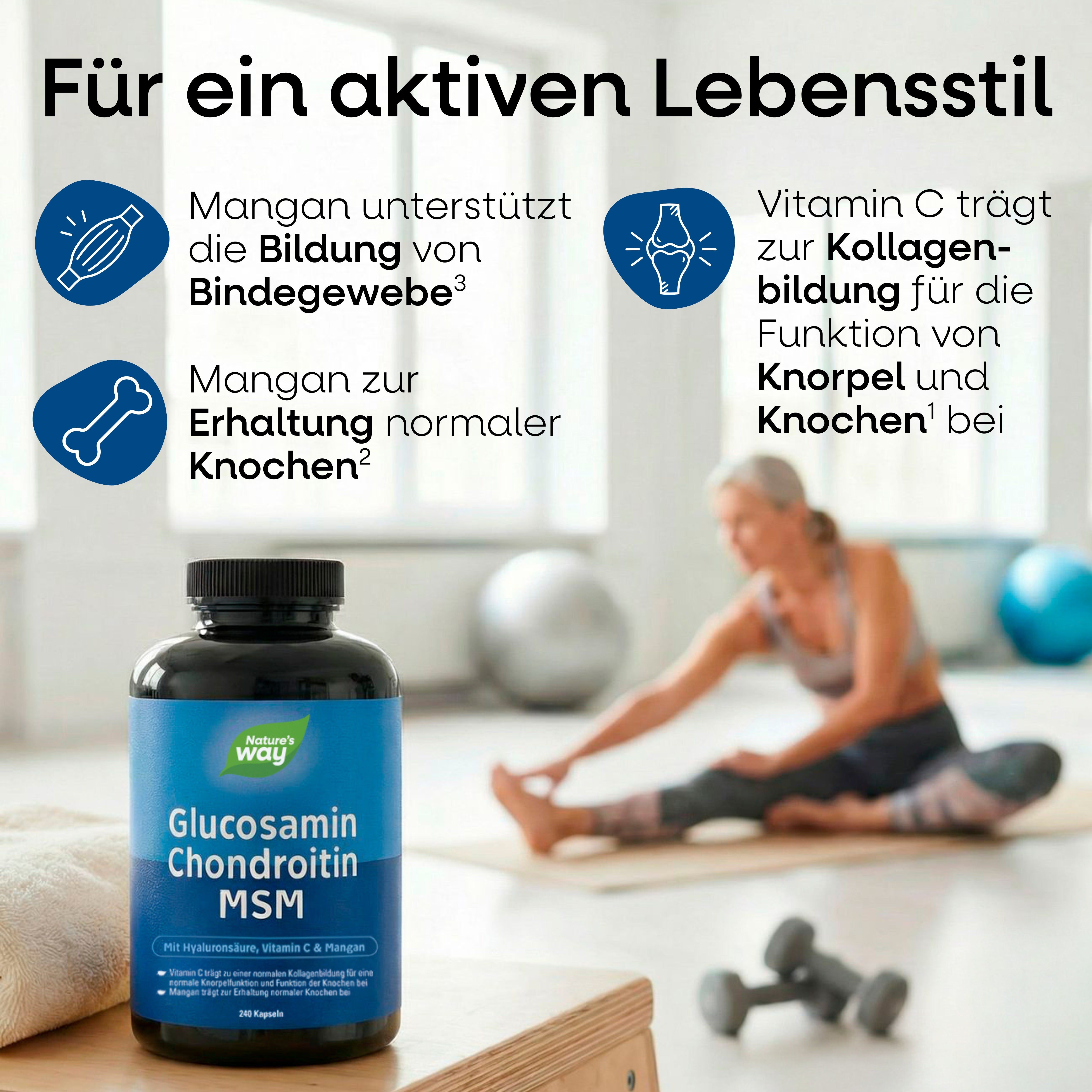 Nature's Way Glucosamin Chondroitin MSM Kapseln