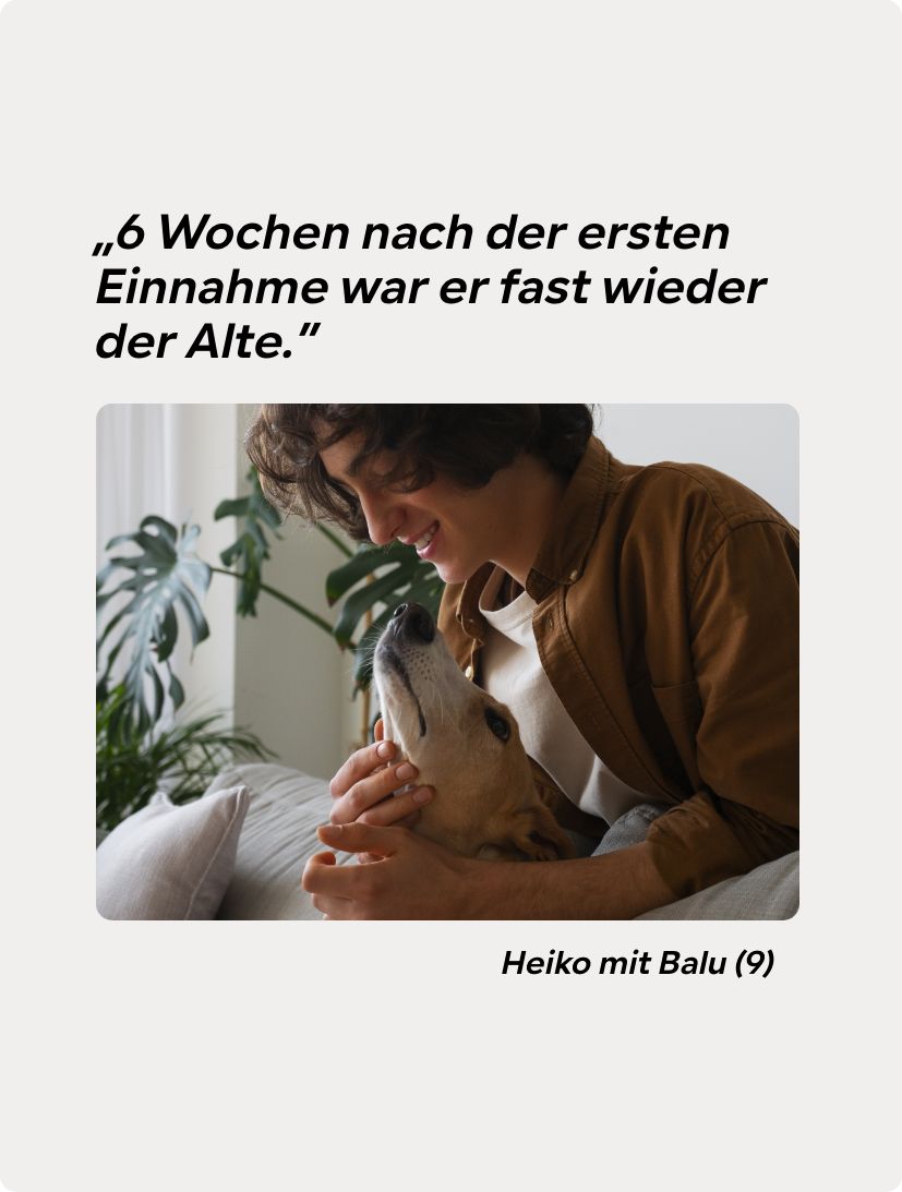 Gelenktabletten Senior HGMforte speziell für alten Hund von Tierarzt Dr. Knoop