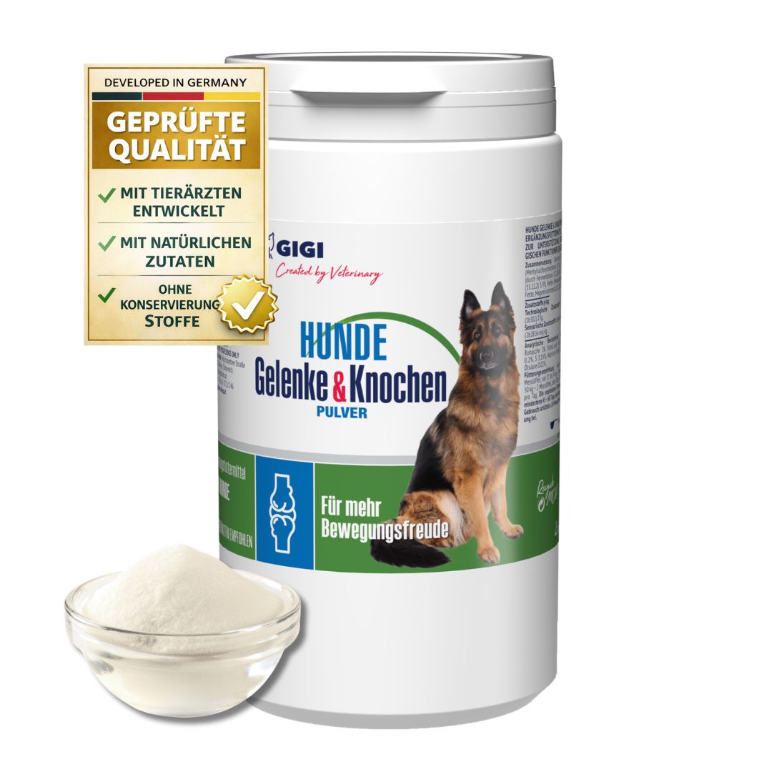 Produkt-Behälter mit Pulver und Schüssel. Text: Hunde Gelenke & Knochen Pulver. Text: Geprüfte Qualität. GIGI Logo.