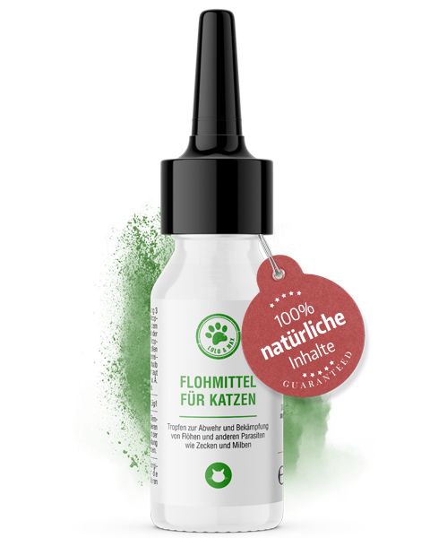 Tropfenflasche für Katzen. Weißes Fläschchen mit schwarzem Verschluss und rotem Anhänger. Aufschrift: Flohmittel für Katzen.