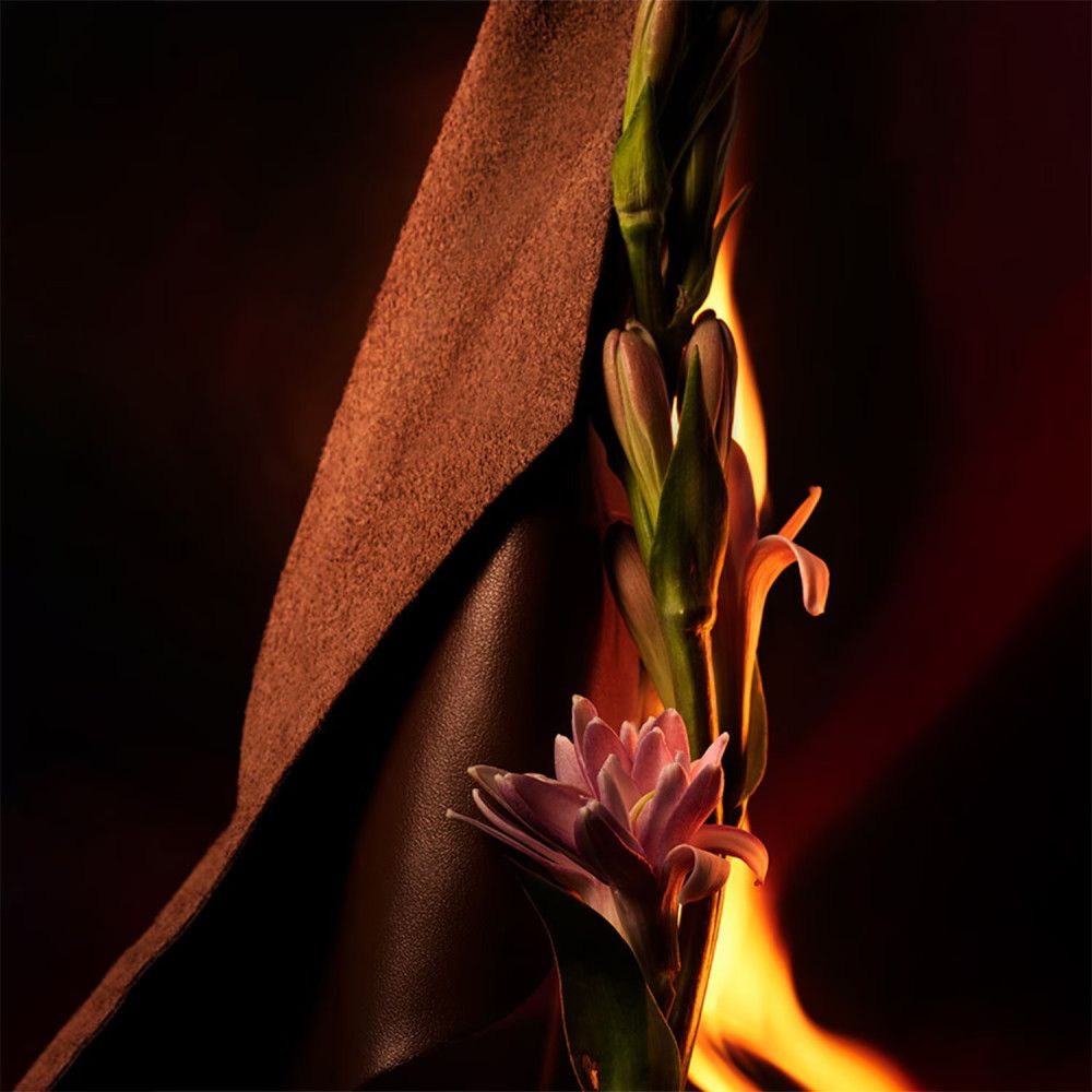 Braunes Lederband, Blüte und Flammen vor dunklem Hintergrund.