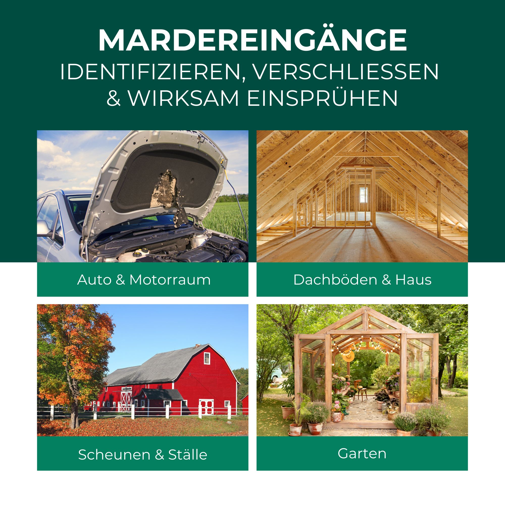 SILBERKRAFT Marderspray
