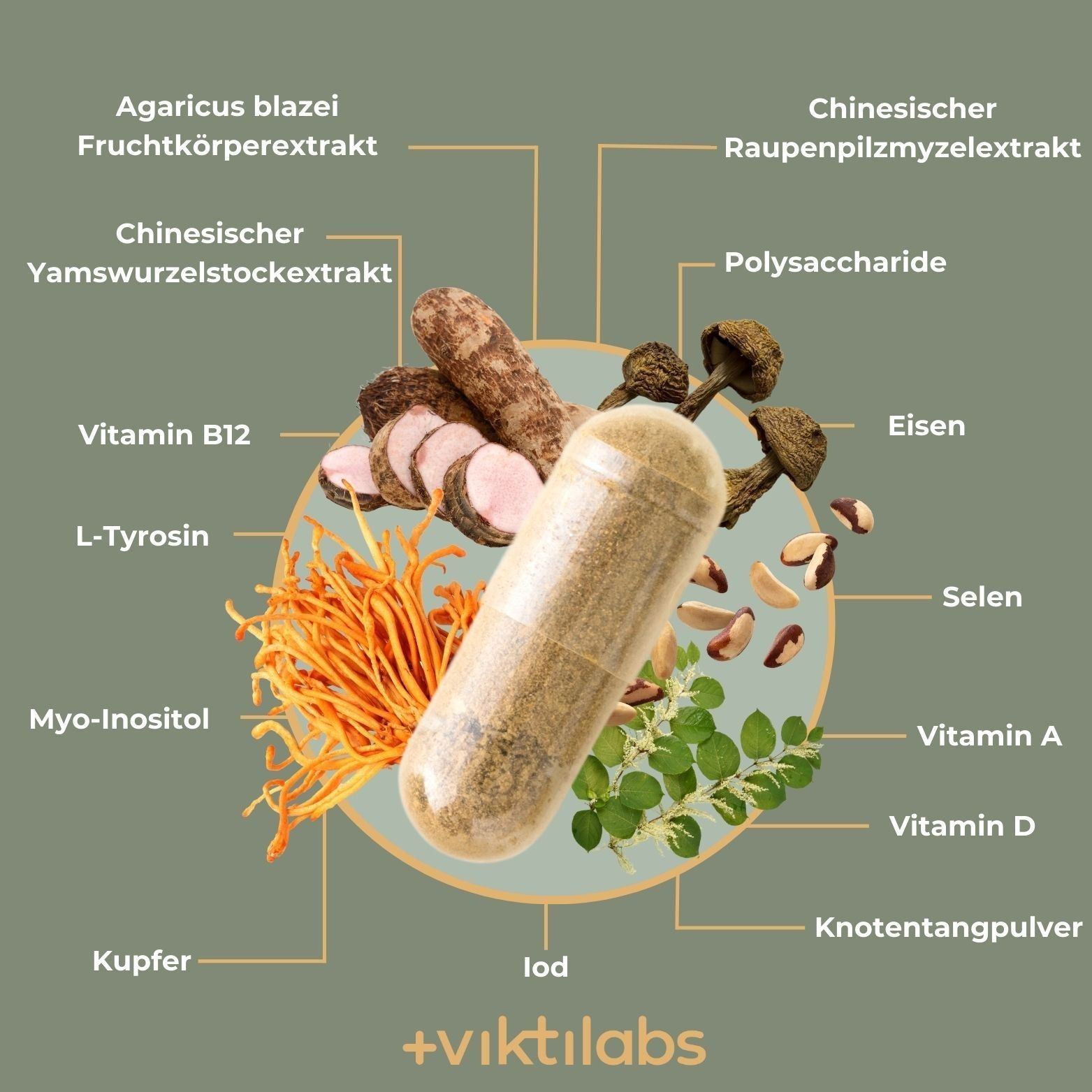 Viktilabs Thyreo Daily: Alle essentiellen Bausteine für deine Schilddrüsen-Hormonproduktion