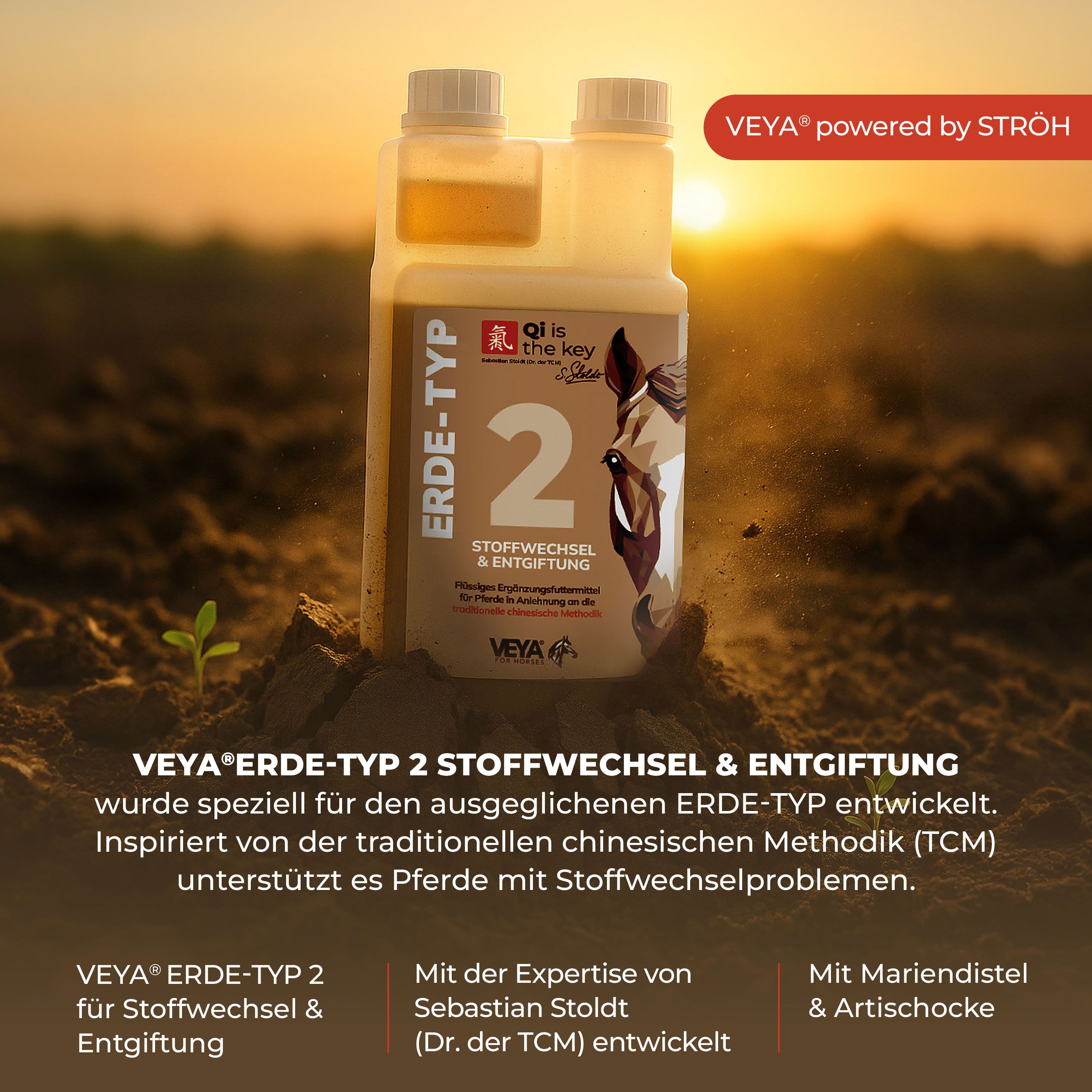 Produktflasche vor Sonnenuntergang. Aufschrift: ERDE-TYP 2 Stoffwechsel & Entgiftung. Veya Logo und Pferdeportrait. Text über Produkt.