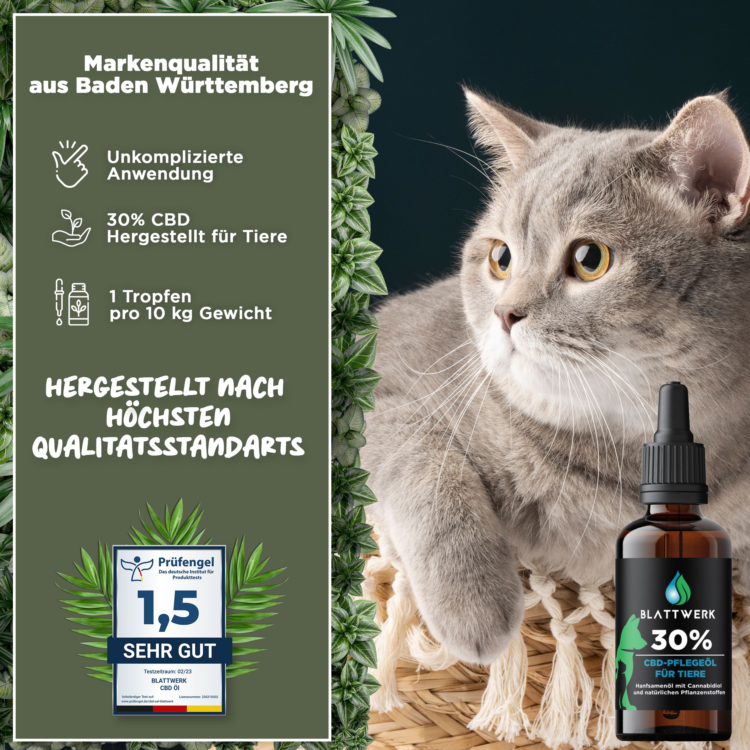 30% CBD Öl für Hunde & Katzen - Deutsche Qualität - CBD Öl Hund - 10ml - 250 CBD Tropfen - BLATTWERK