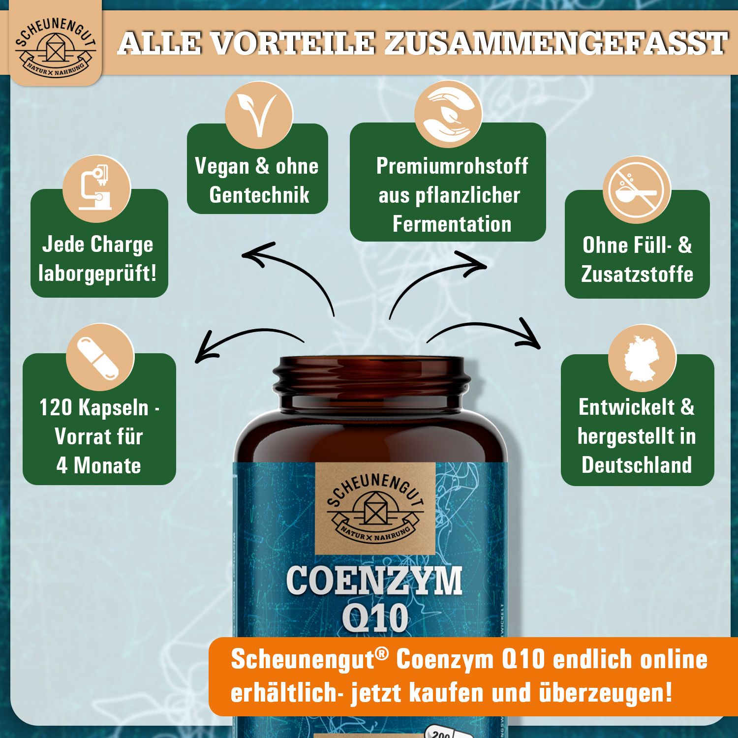 Scheunengut Coenzym Q10 Pflanzlicher Rohstoff Aus Fermentation 