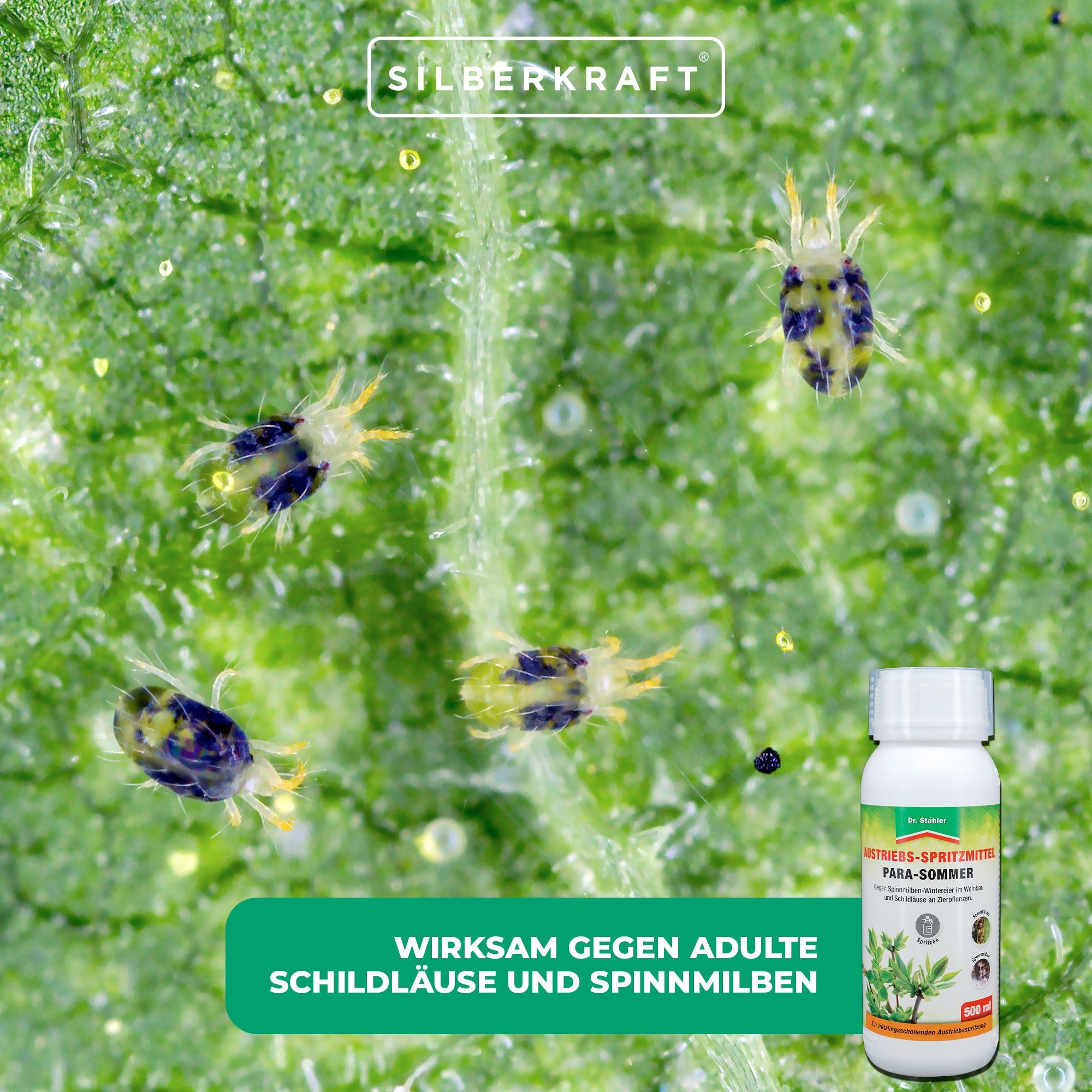 SILBERKRAFT Para Sommer Austriebs-Spritzmittel