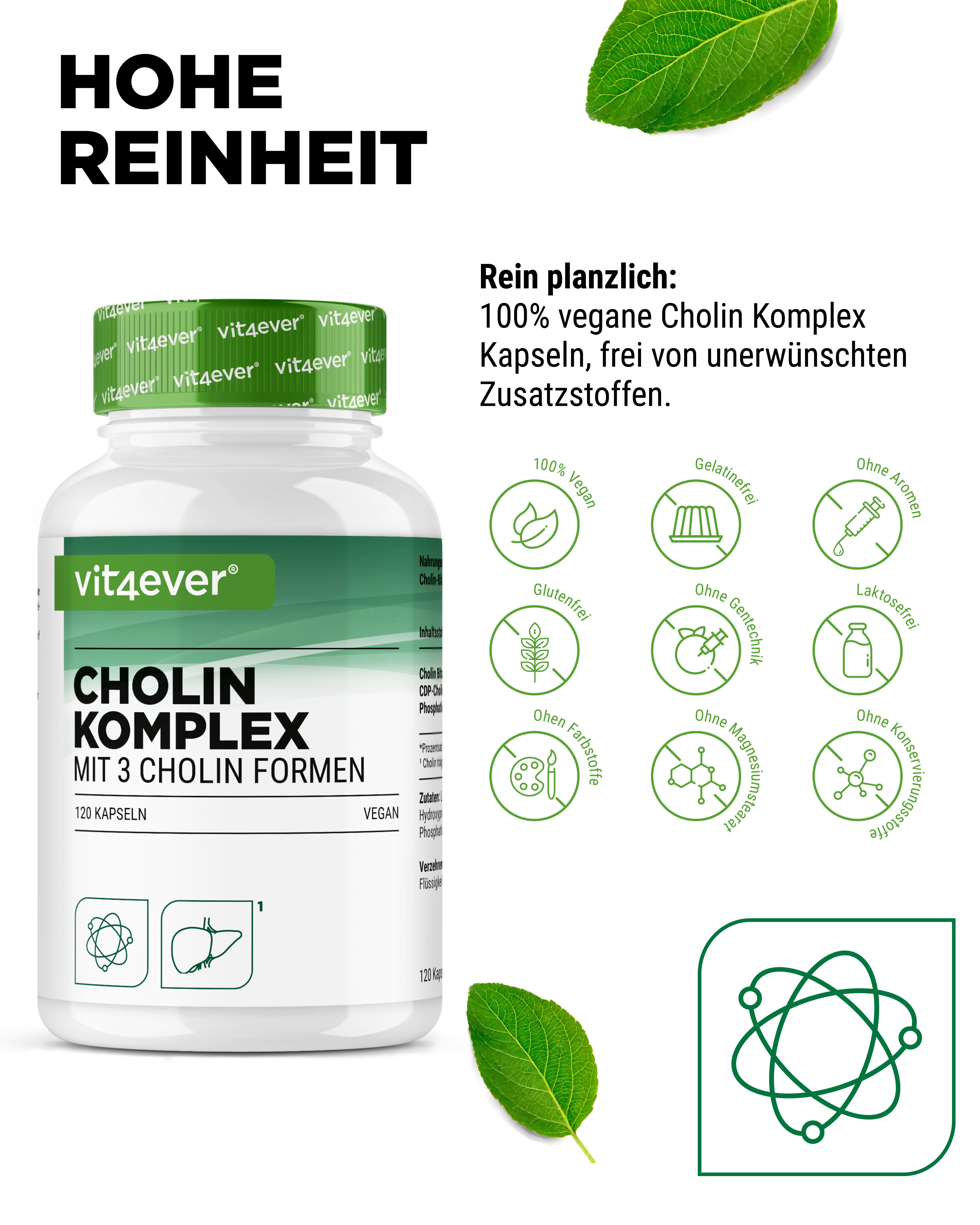 vit4ever Cholin Komplex