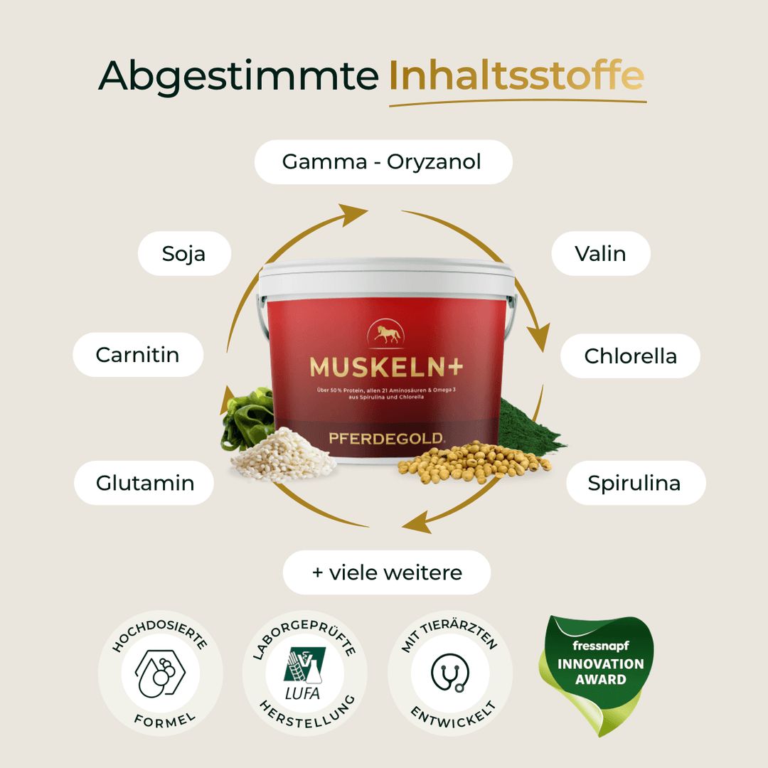Pferdegold Muskeln+
