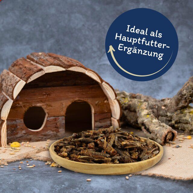 Getrocknete Heuschrecken in einer Holzschale, neben einem kleinen Holzhaus. Aufschrift: Ideal als Hauptfutterergänzung.