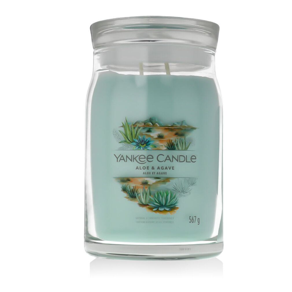 Glasbehälter mit Deckel, gefüllt mit blaugrünem Wachs. Aufschrift: Yankee Candle, Aloe & Agave. Gewicht: 567 g.