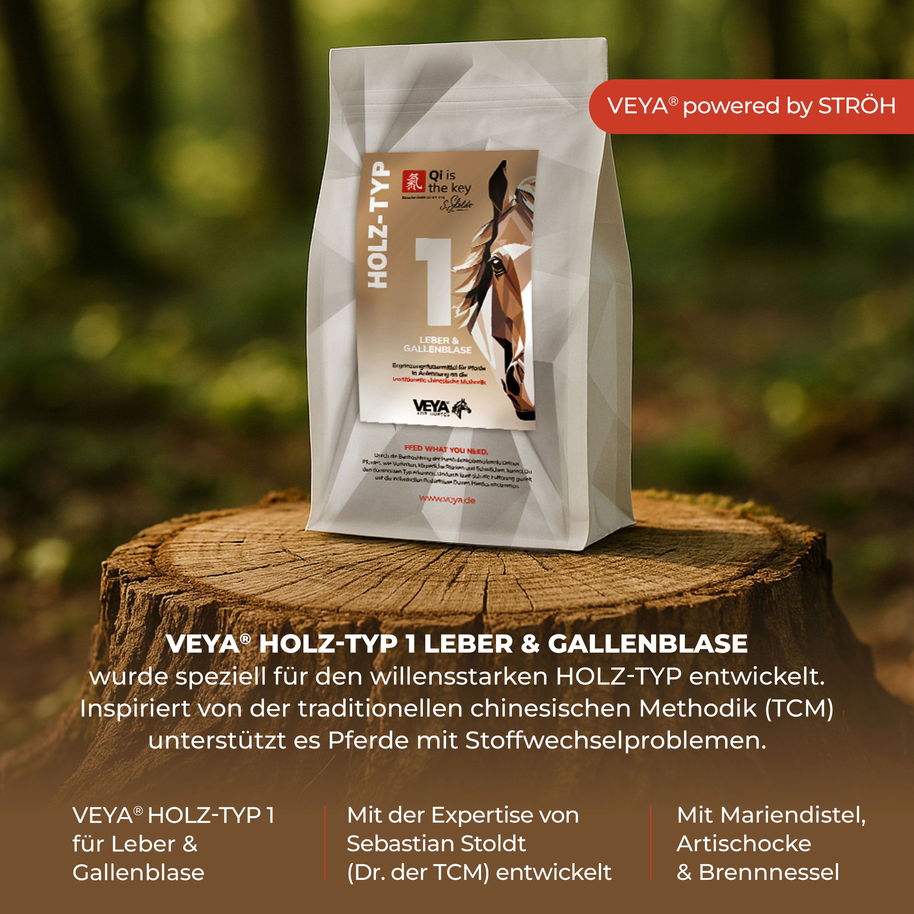 VEYA HOLZ-TYP 1 Leber & Gallenblase