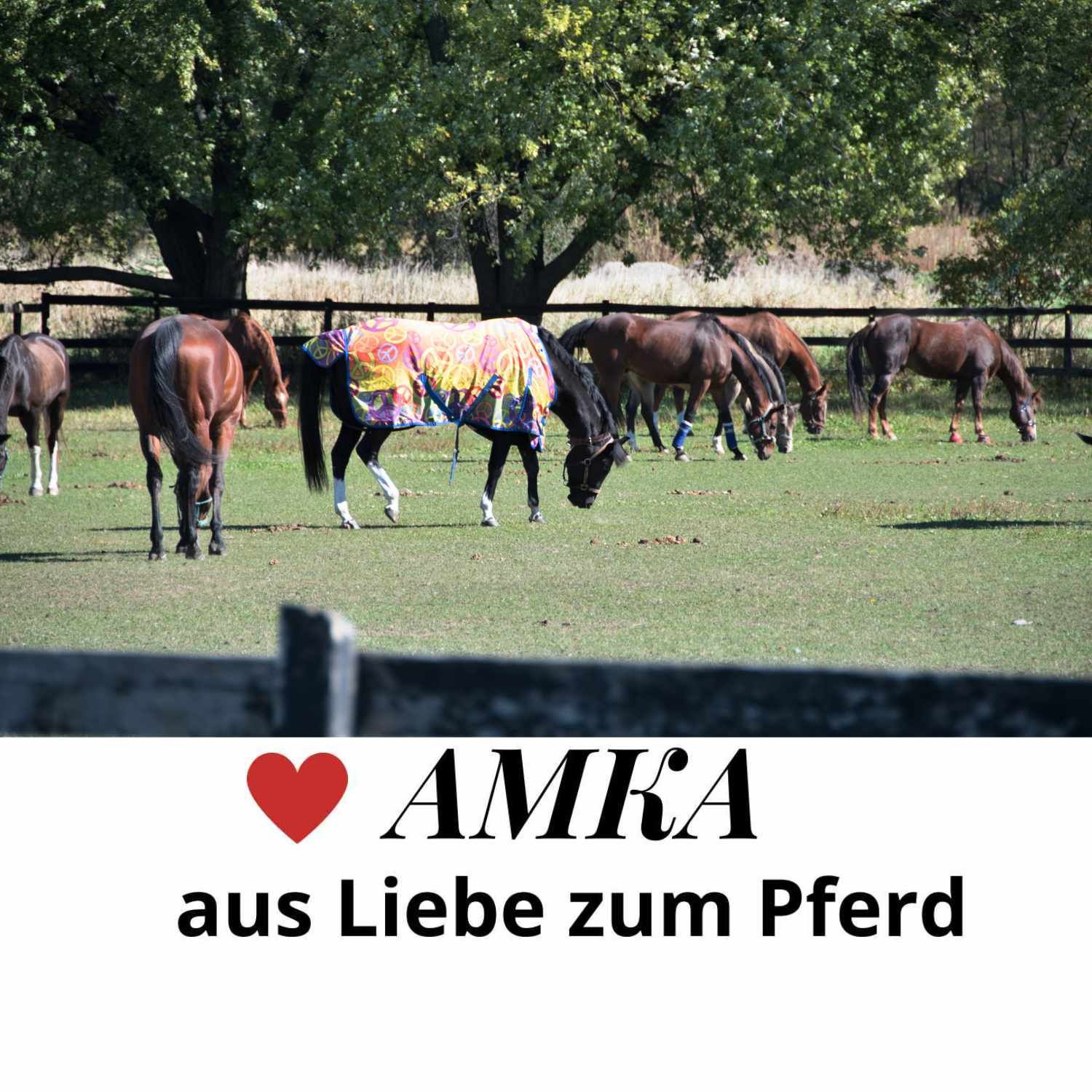 AMKA LE Canvas Pferdedecke
