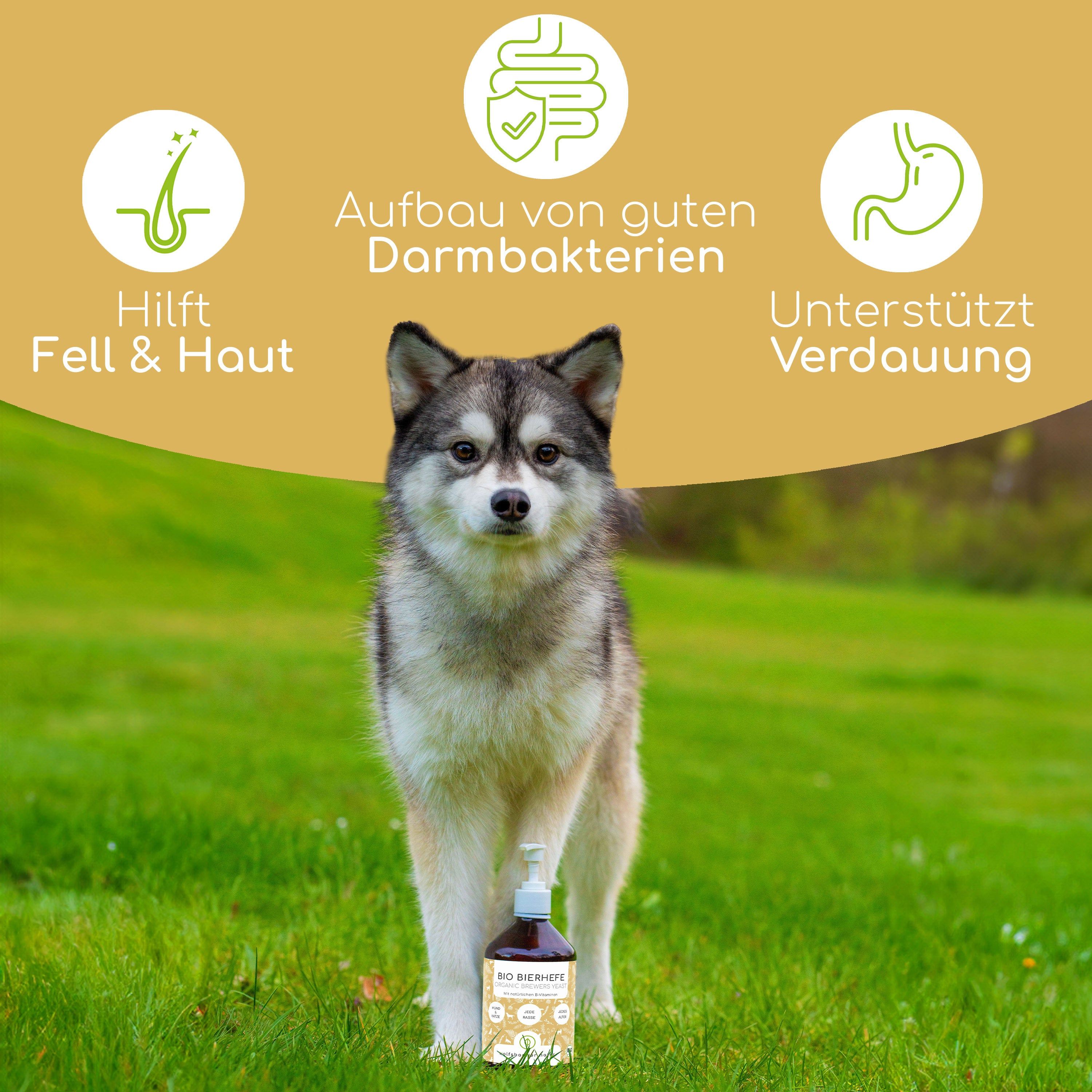 Hund auf Wiese mit Flasche. Text: Hilft Fell & Haut, Aufbau von guten Darmbakterien, Unterstützt Verdauung.