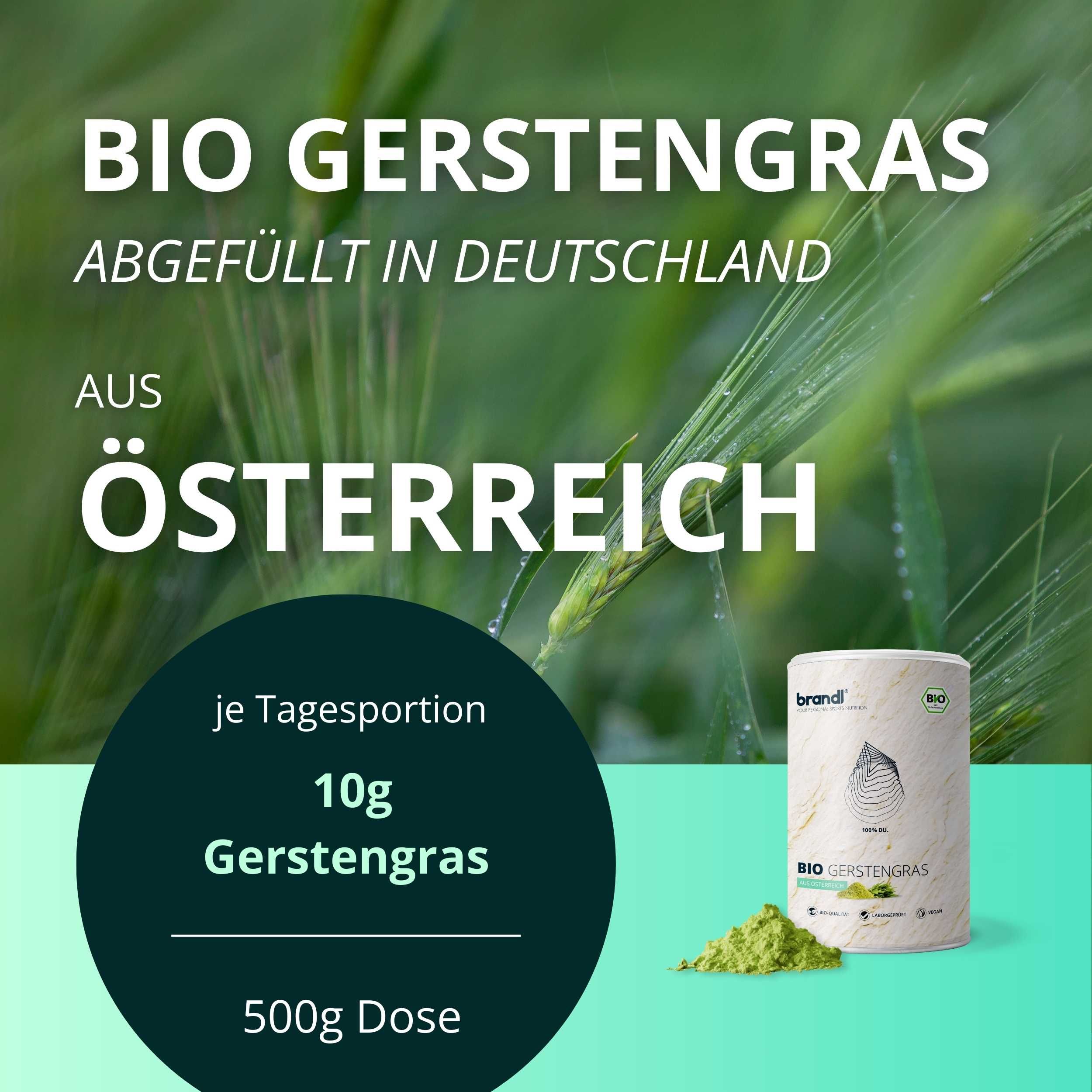 brandl® Gerstengras Bio 500 g Pulver