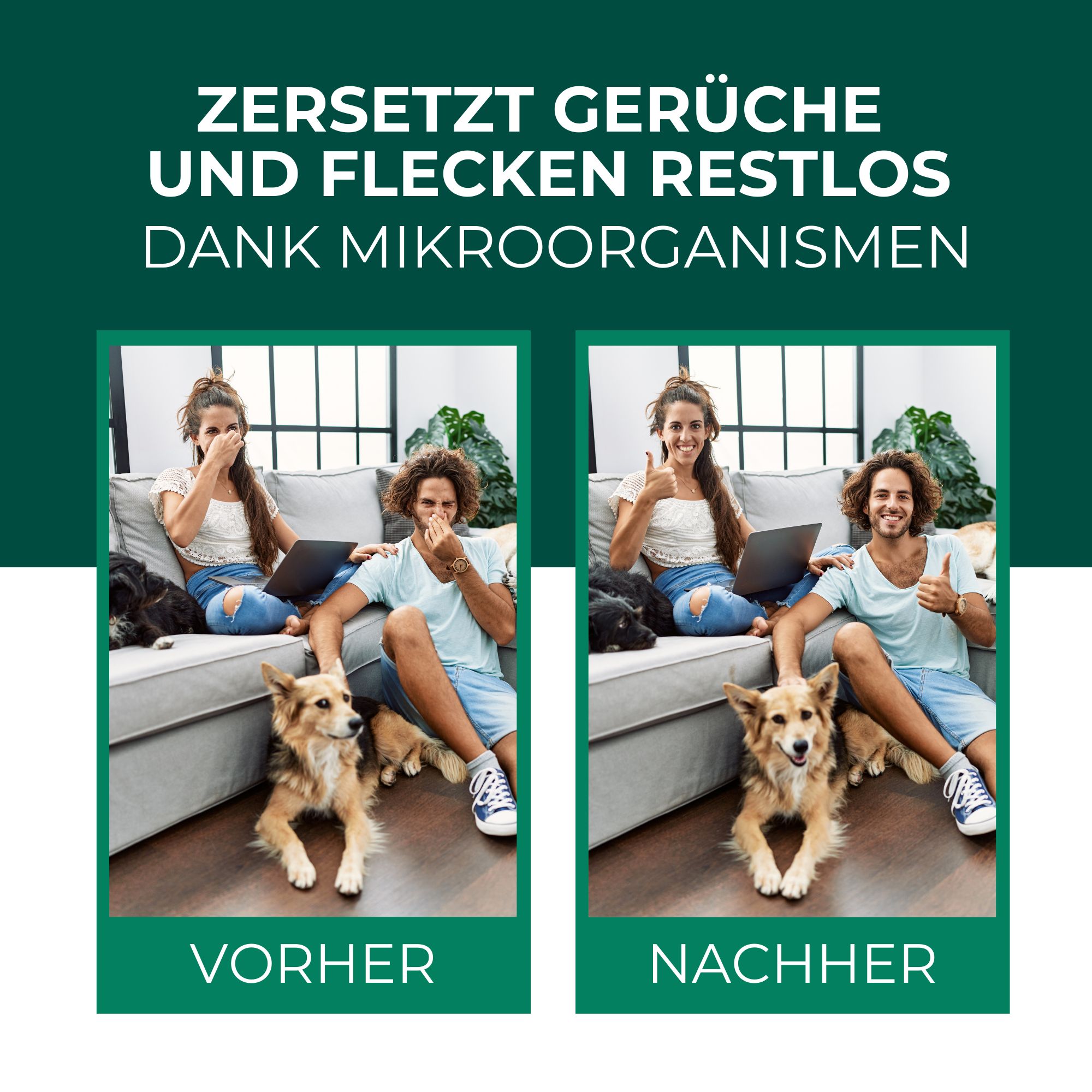 SILBERKRAFT Enzymreiniger Hund & Katze