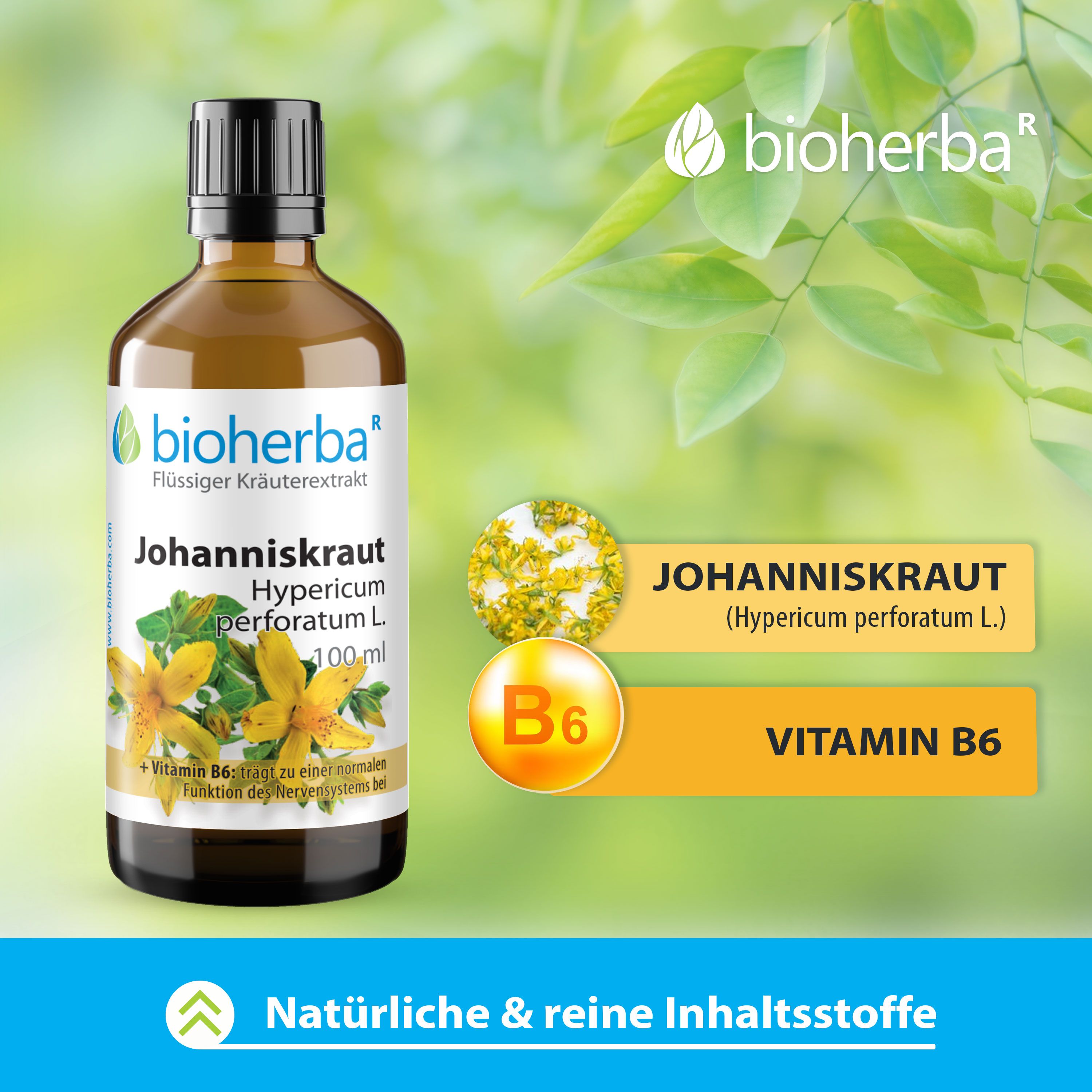 Bioherba Johanniskraut Tropfen Tinktur