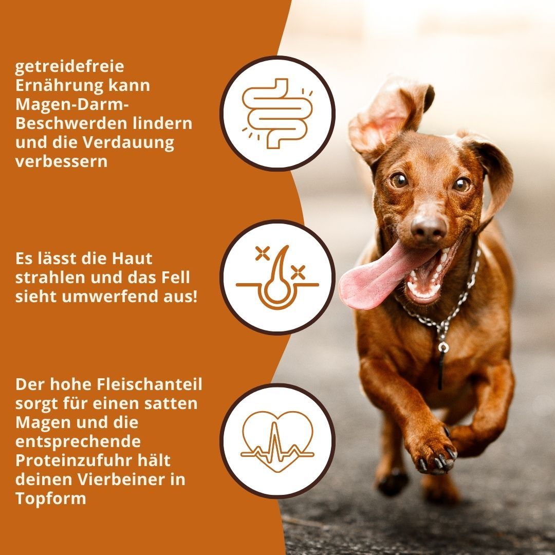 Hund rennt. Text: Getreidefreie Ernährung kann Magen-Darm-Beschwerden lindern. Hoher Fleischanteil sorgt für Protein.