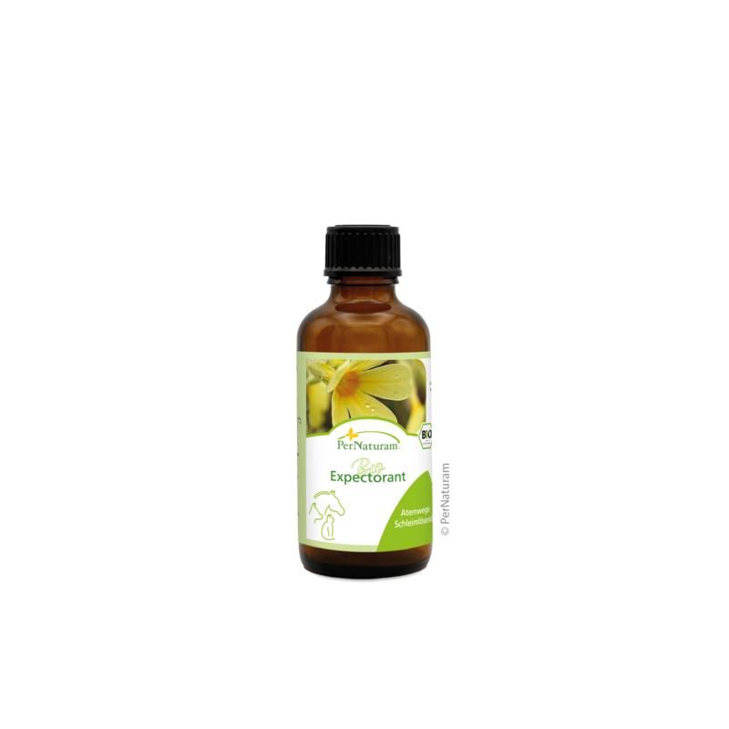 Braune Glasflasche mit schwarzem Deckel. Etikett mit Produktnamen und Logo. Aufschrift: Bio Expectorant.