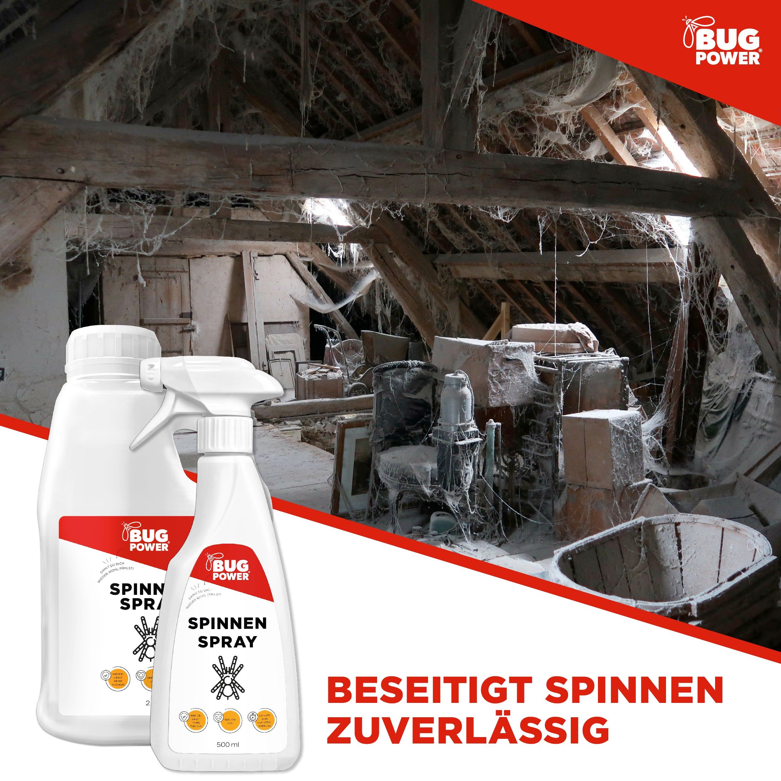 Zwei weiße Sprühflaschen in einem Dachboden. Text: "Beseitigt Spinnen zuverlässig". Logo "Bug Power" und Schriftzug "Spinnen Spray".