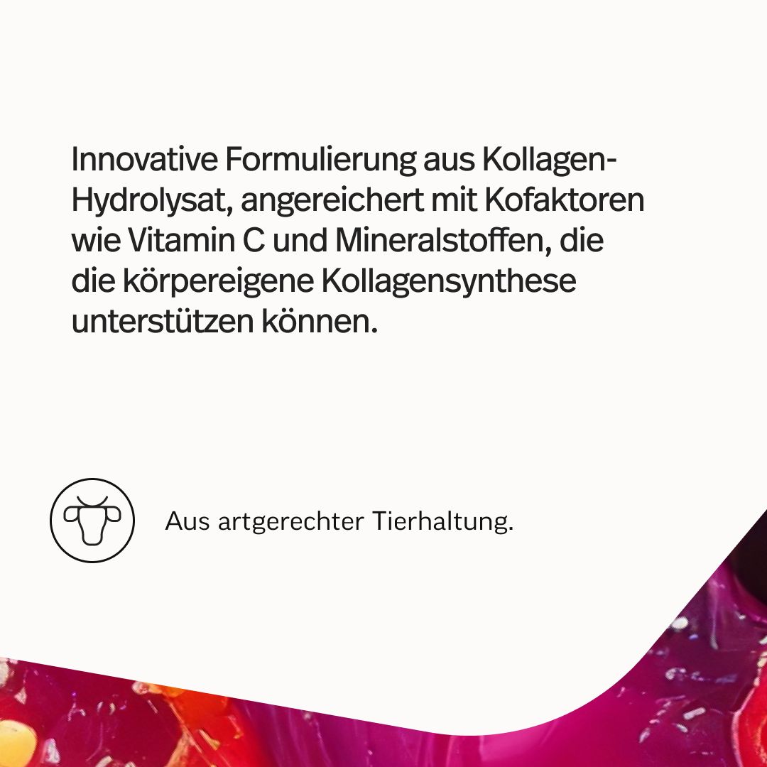 edubily® Kollagen-Hydrolysat Pulver aus Weidehaltung Neutral