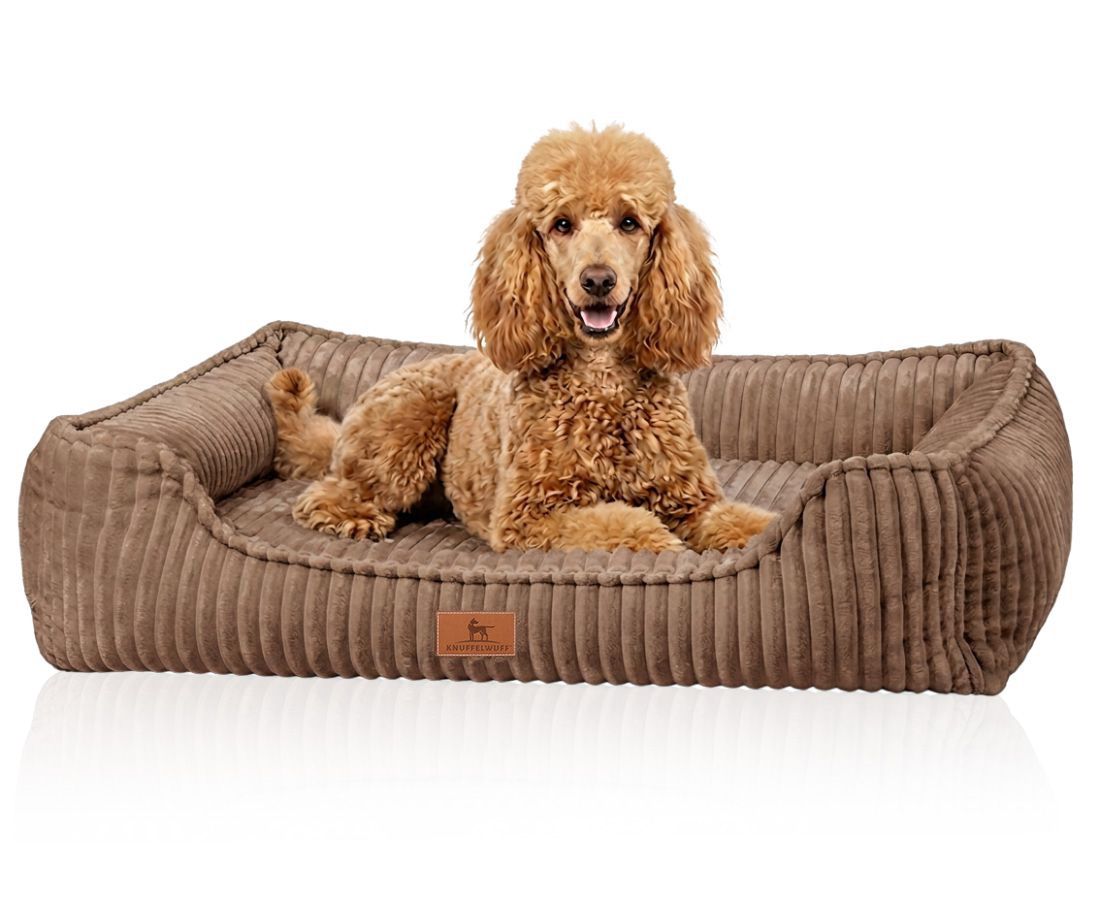 Braunes Hundebett aus Cord mit erhöhtem Rand, ein Pudel liegt darin.