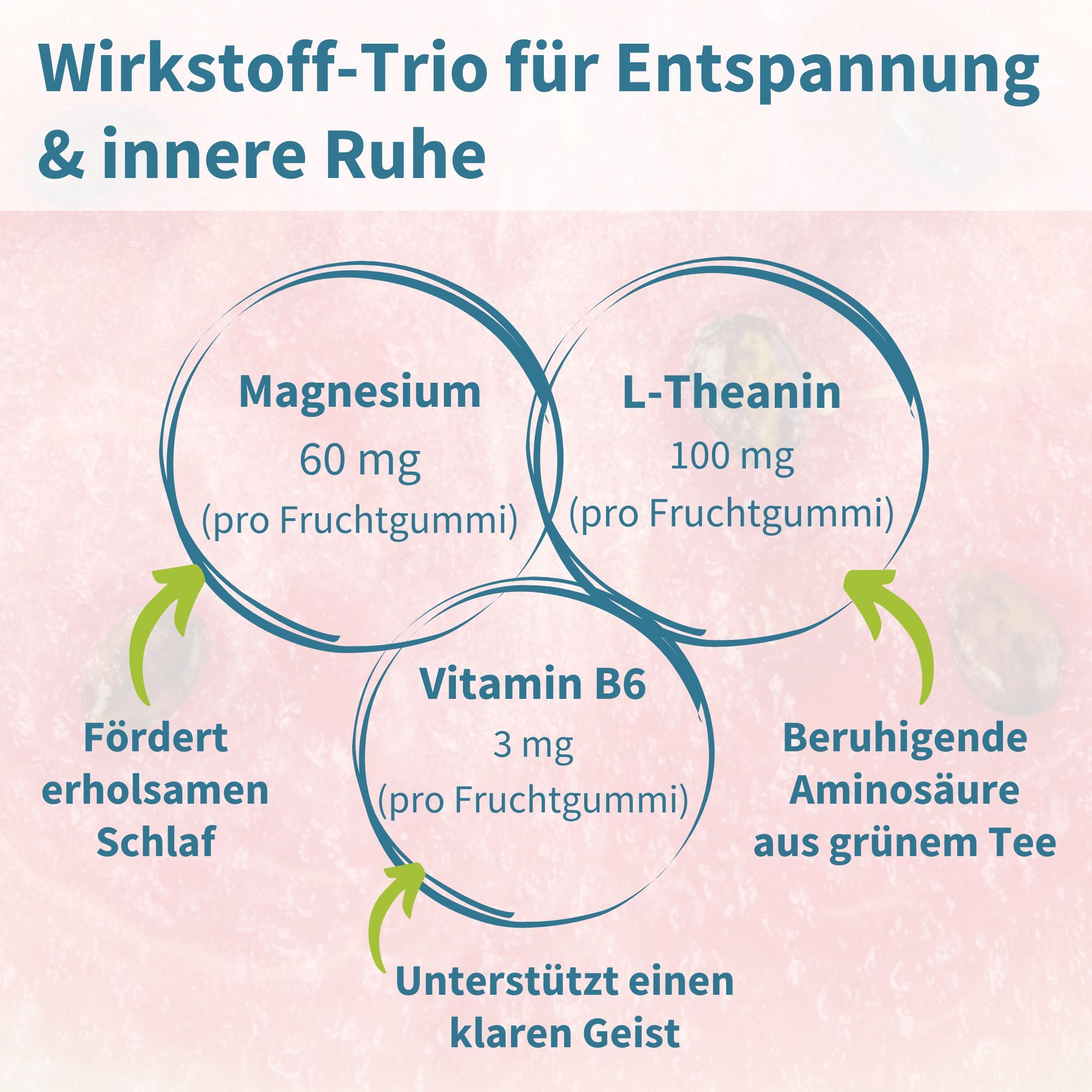 Kreisförmige Grafik mit Magnesium, L-Theanin und Vitamin B6. Text: Fördert Schlaf, beruhigende Aminosäure, unterstützt klaren Geist.