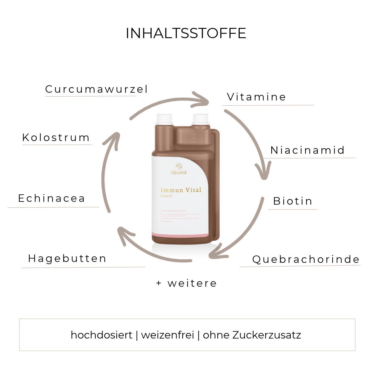 Flasche mit Immun Vital Drink, umgeben von Zutaten wie Kolostrum, Echinacea, Hagebutten, Curcumawurzel, Vitamine, Niacinamid, Biotin und Quebrachorinde.