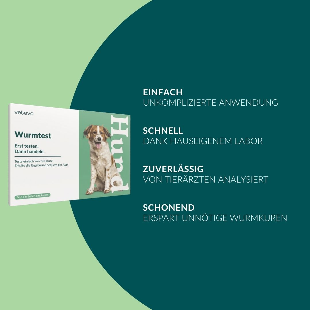Verpackung des Wurmtest Hund mit Hundefoto. Text: Einfach, Schnell, Zuverlässig, Schonend.