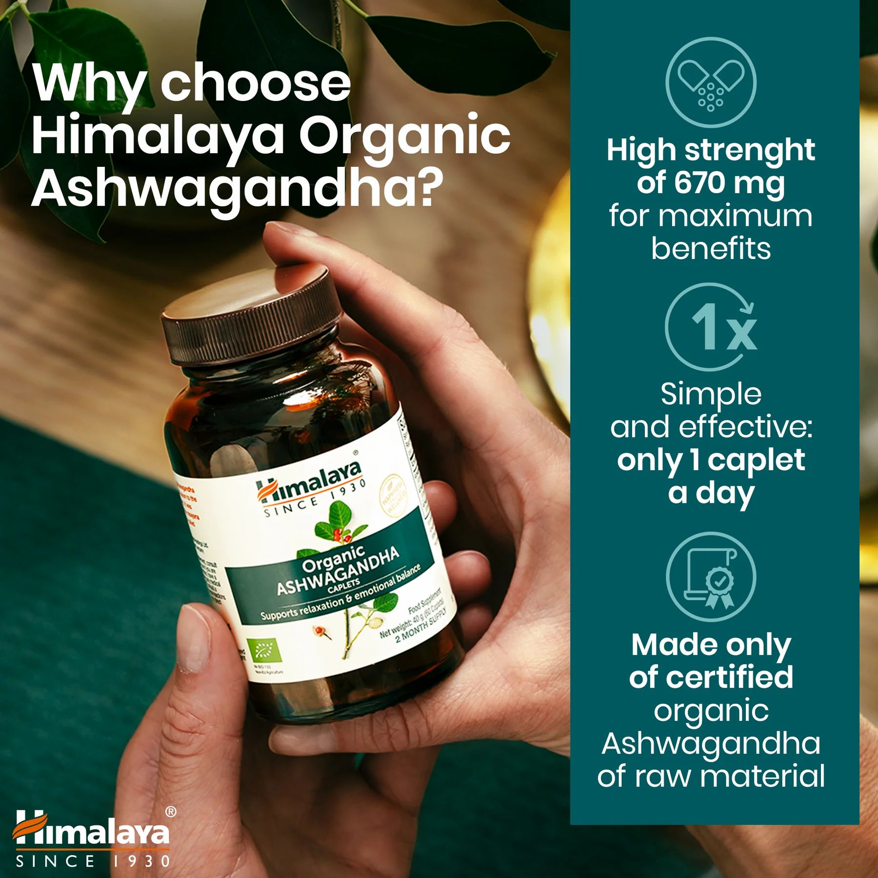 Hände halten Flasche mit Kapseln. Text: Himalaya Organic Ashwagandha.