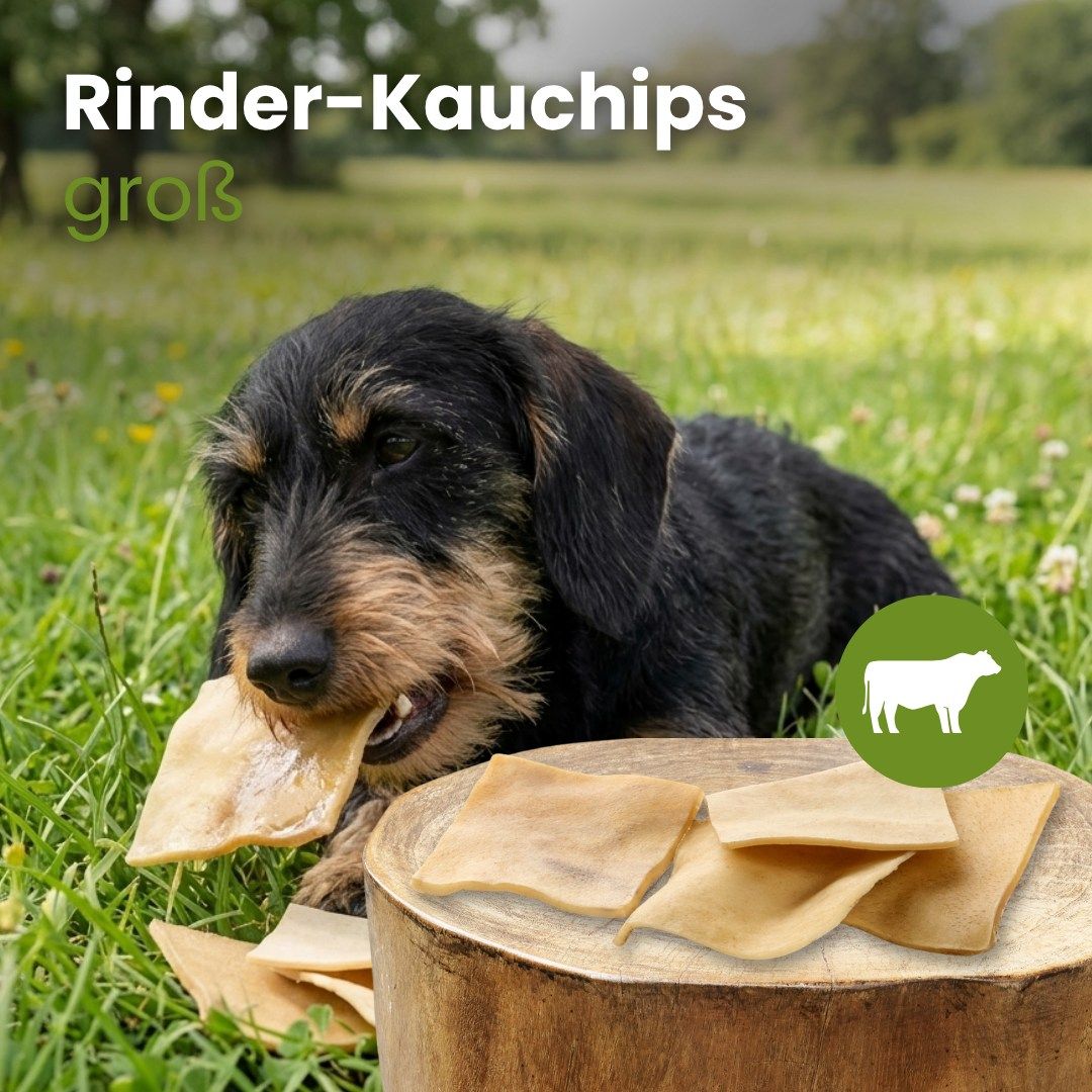 Große Rinder-Kauchips liegen im Gras, ein Hund kaut auf einem Chip.