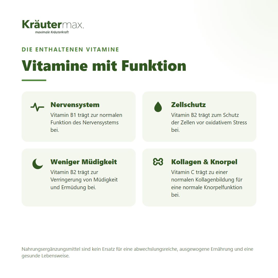 Grafik mit Vitaminen und ihren Funktionen: Nervensystem, Zellschutz, weniger Müdigkeit, Kollagen & Knorpel.