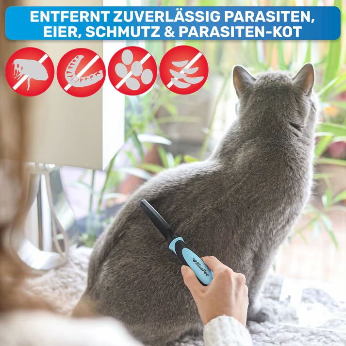 Katze wird mit Flohkamm gekämmt. Text: Entfernt zuverlässig Parasiten, Eier, Schmutz & Parasiten-Kot. BluePet Flohkamm.