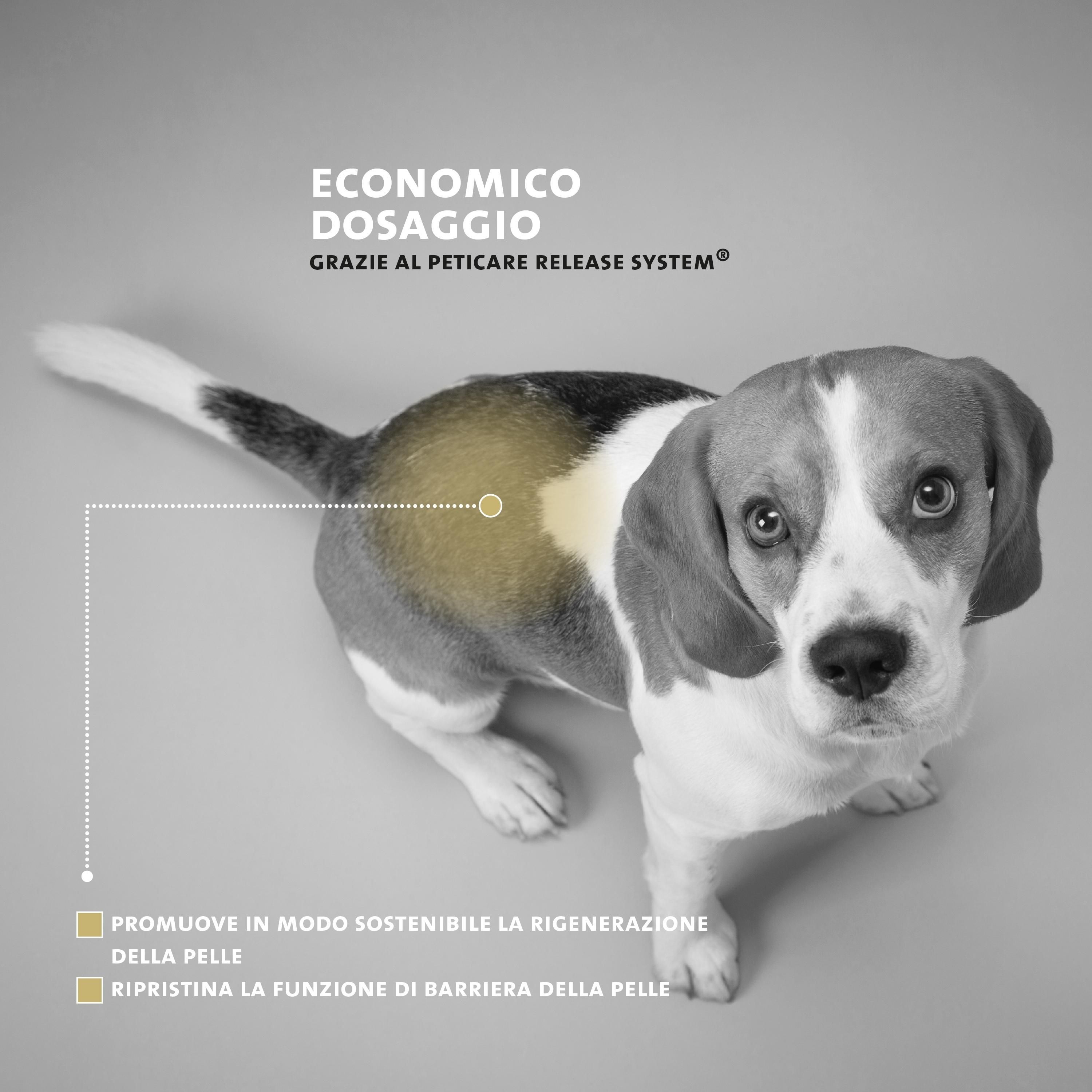 Beagle-Hund von oben. Gelb markierte Stelle am Rücken. Text: „Economico dosaggio“ und „Promuove in modo sostenibile la rigenerazione della pelle“.