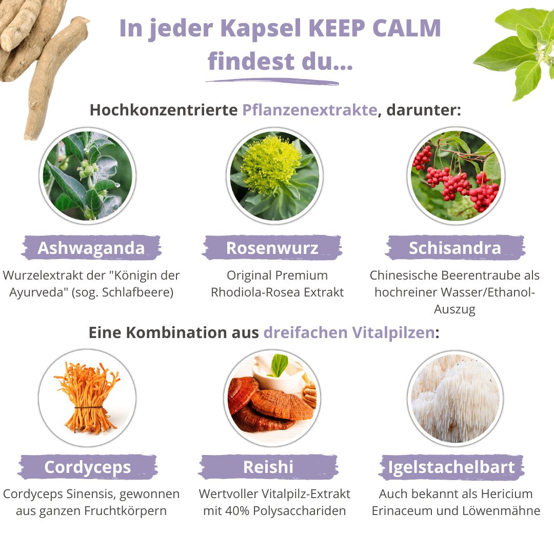 Grafik mit Inhaltsstoffen: Ashwagandha, Rosenwurz, Schisandra, Cordyceps, Reishi, Igelstachelbart. Text: „In jeder Kapsel KEEP CALM findest du...“