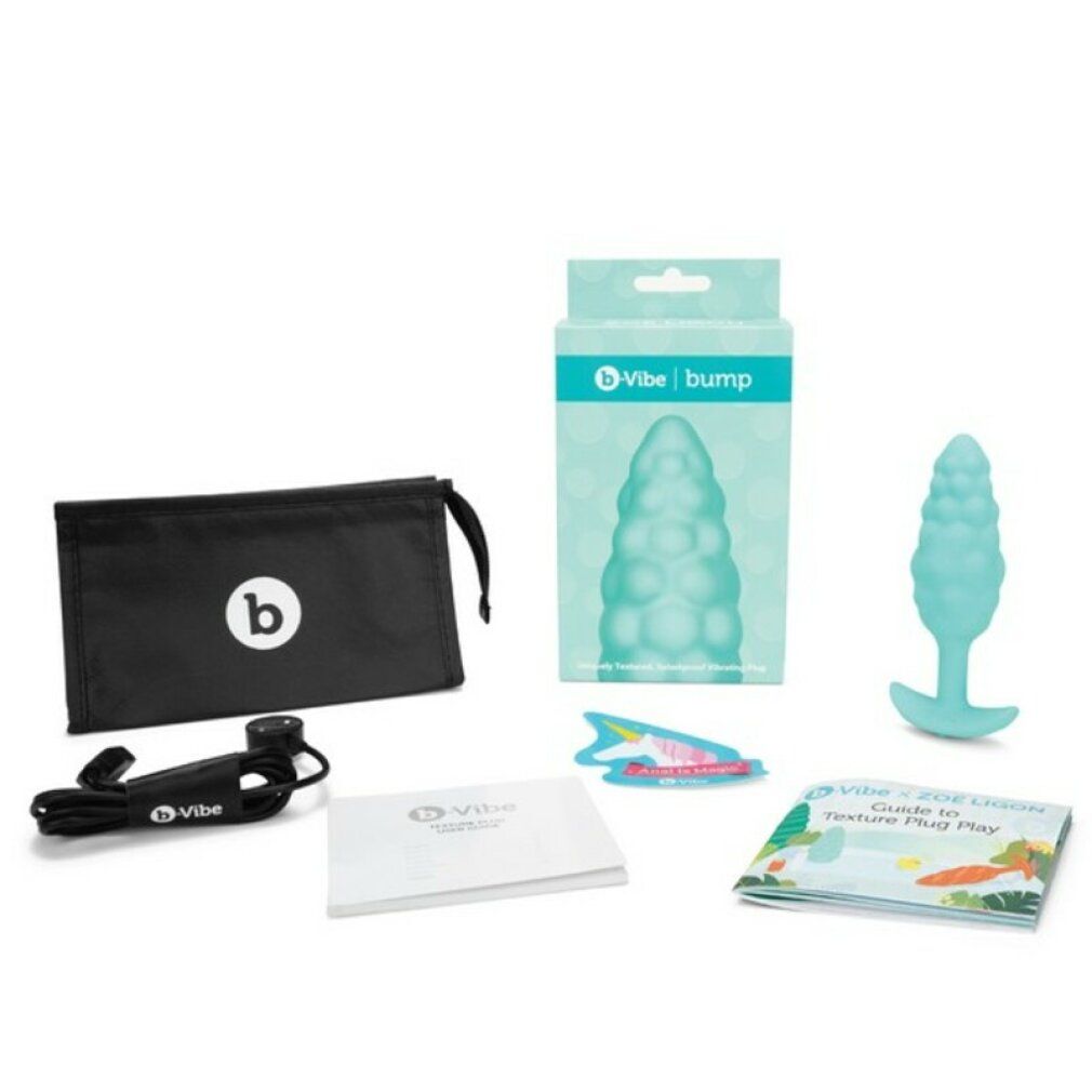 Produkt-Set mit türkisfarbenem Plug, schwarzer Tasche, Verpackung, Kabel, Broschüre und Karte. b-Vibe Logo.