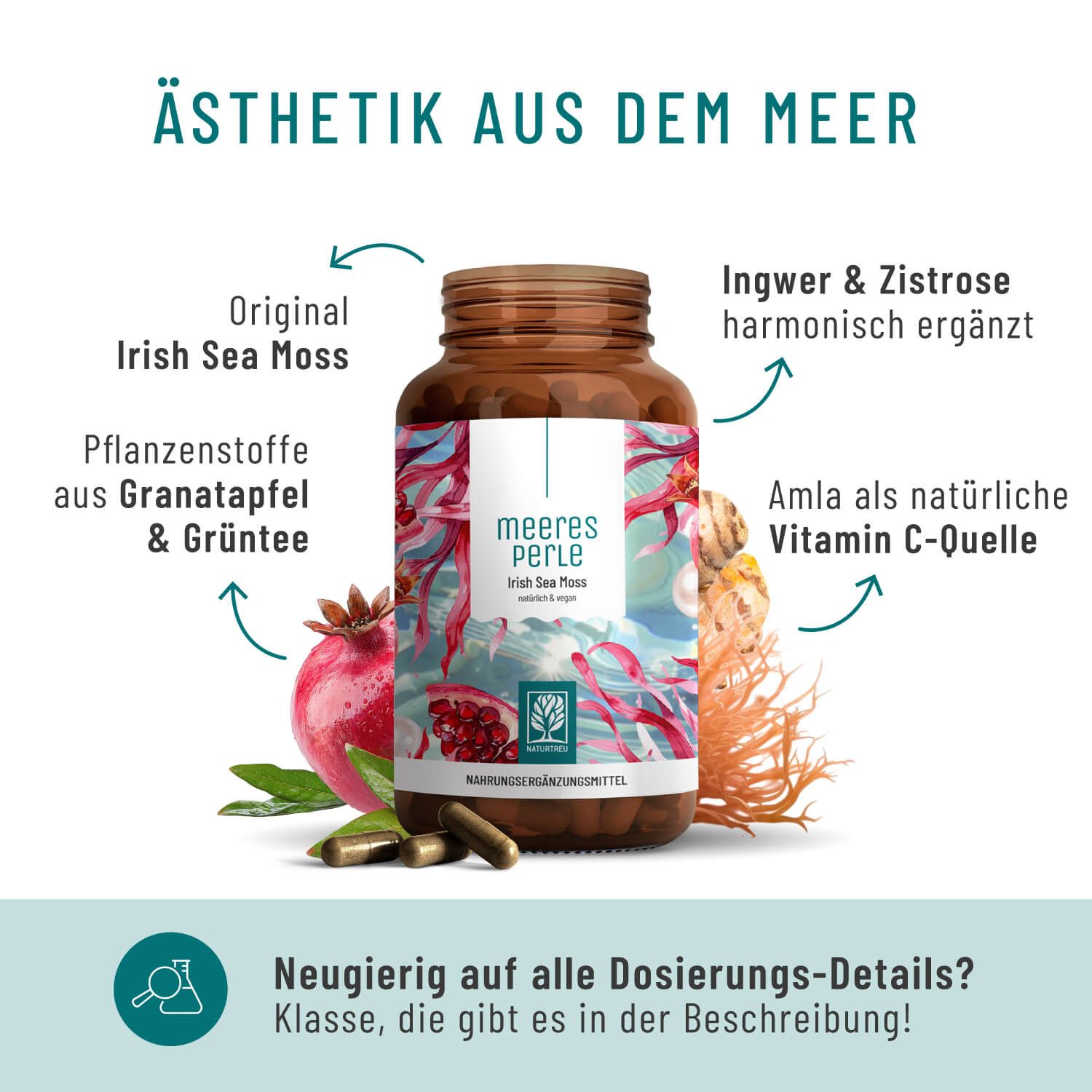 Braune Glasflasche mit Kapseln, umgeben von Ingwer, Granatapfel und Seemoos. Text: Original Irish Sea Moss, Amla, Ingwer & Zistrose.