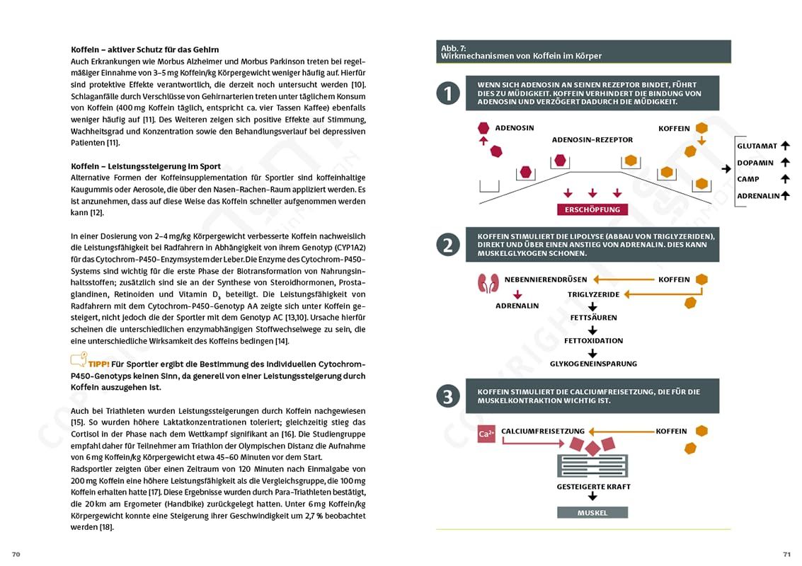 Buchseite mit Text und Diagrammen. Thema: Koffein. Diagramme zeigen die Wirkung von Koffein im Körper.