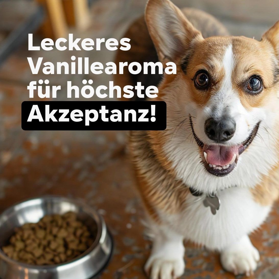 Corgi-Hund vor Futternapf. Text: Leckeres Vanillearoma für höchste Akzeptanz!