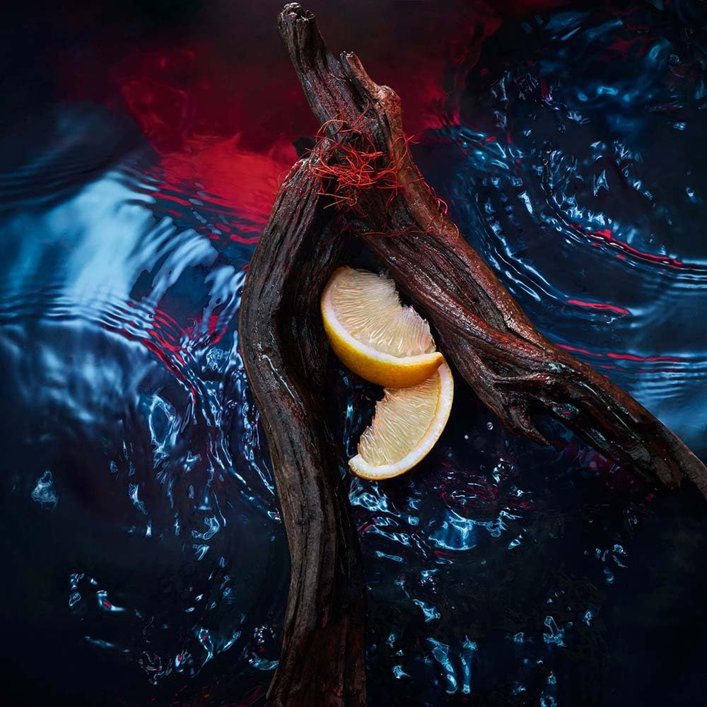 Zitronenscheiben auf einem Ast in blauem Wasser. Roter Hintergrund. Wasser mit Wellen.